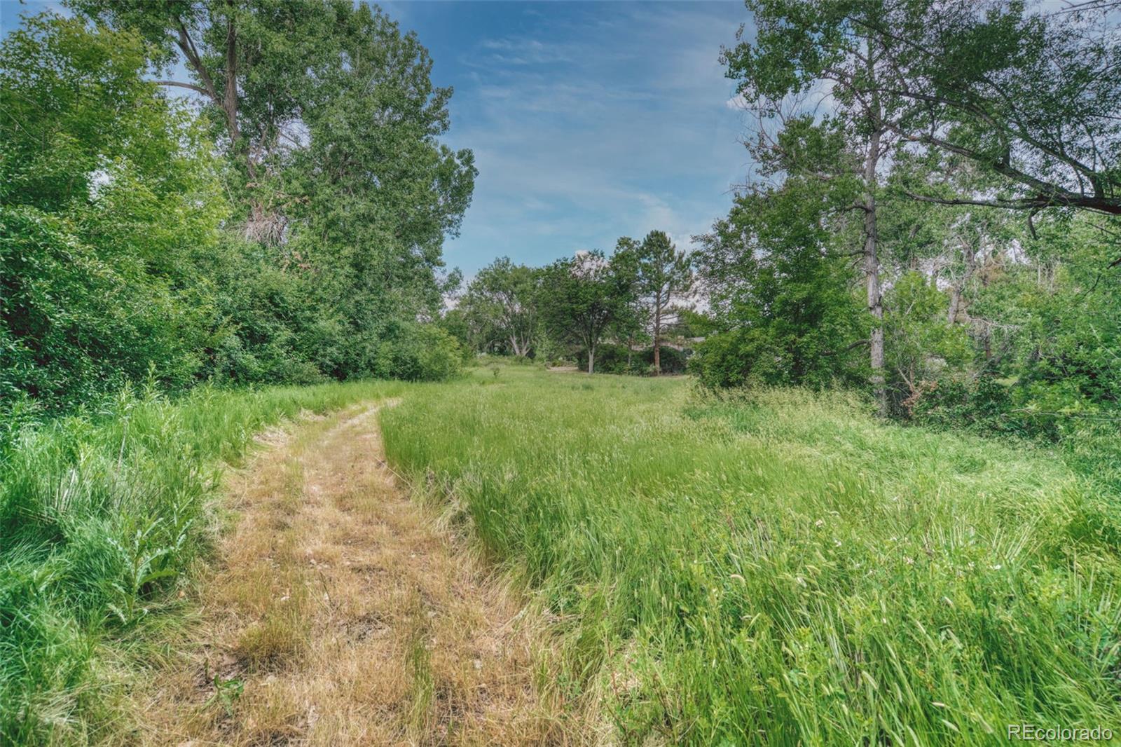 MLS Image #26 for 6081 s franklin street,centennial, Colorado