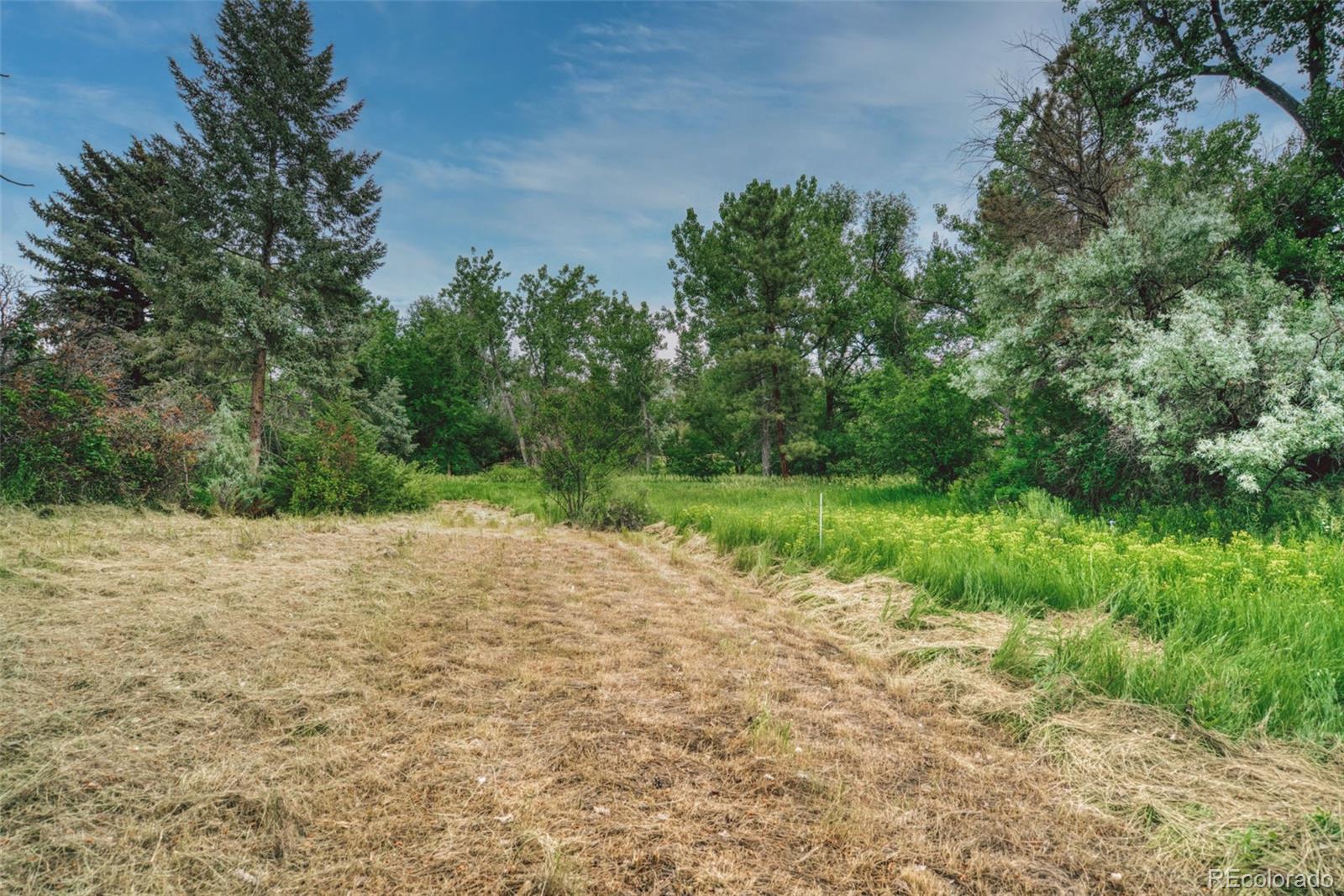 MLS Image #27 for 6081 s franklin street,centennial, Colorado