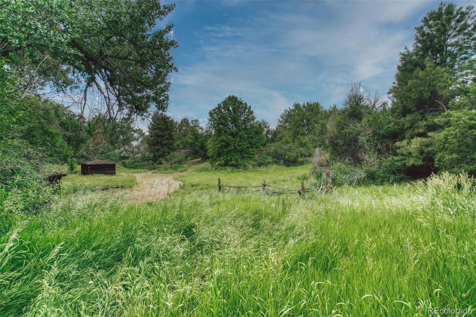 MLS Image #31 for 6081 s franklin street,centennial, Colorado