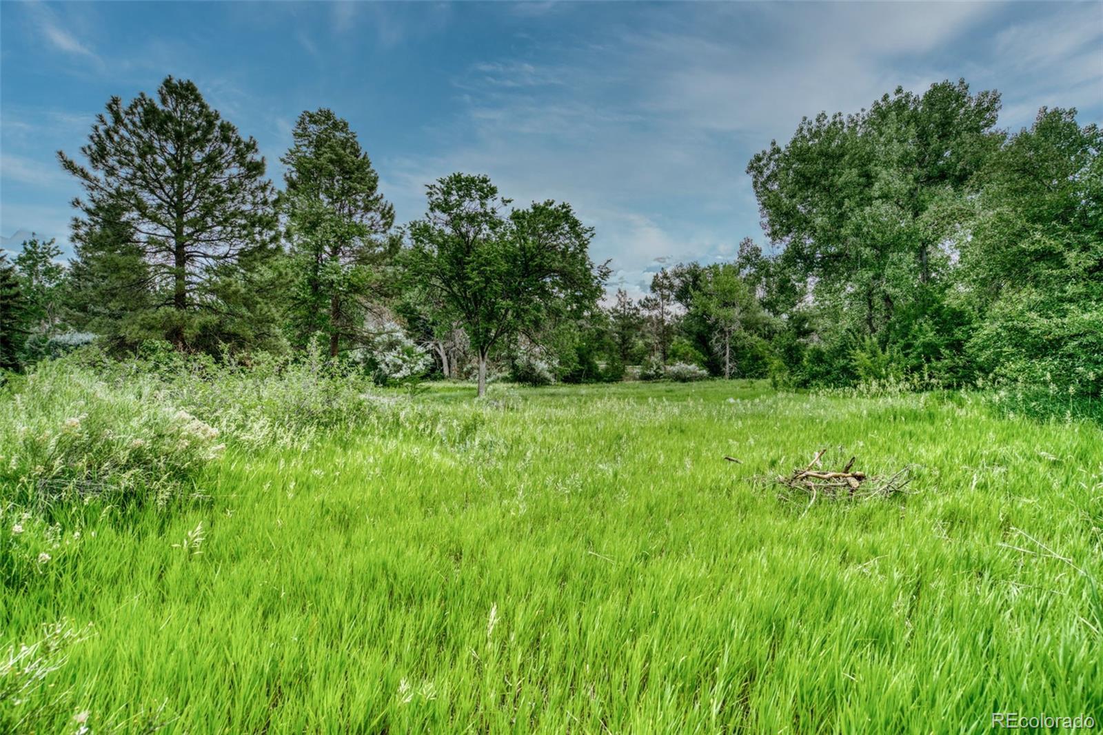 MLS Image #36 for 6081 s franklin street,centennial, Colorado