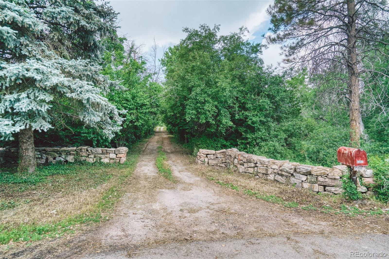 MLS Image #5 for 6081 s franklin street,centennial, Colorado