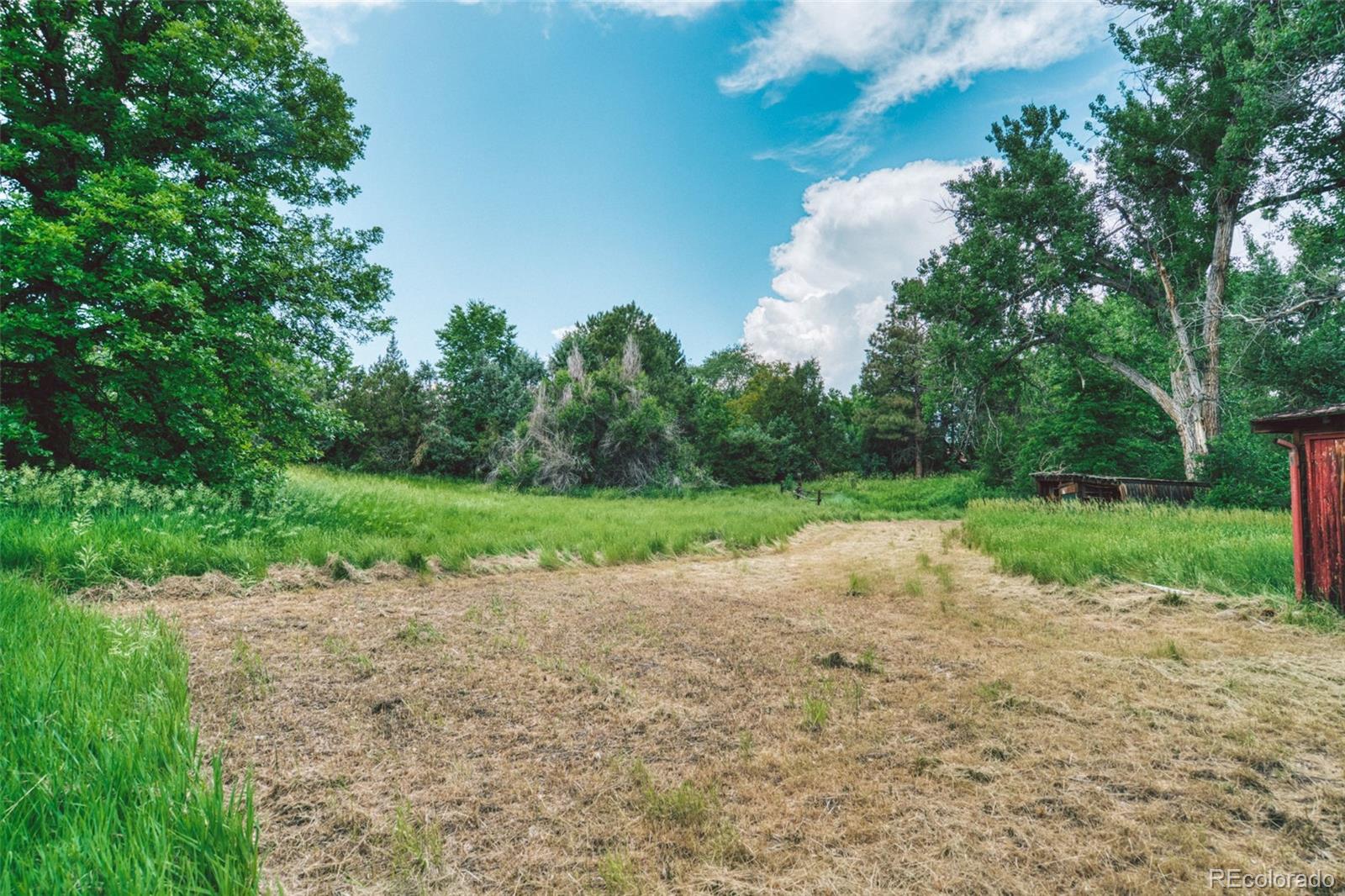 MLS Image #9 for 6081 s franklin street,centennial, Colorado