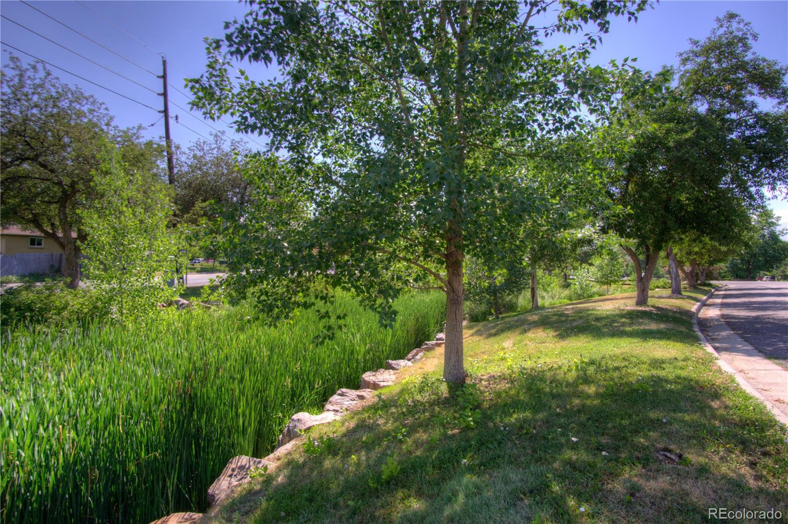 MLS Image #37 for 6294 s cedar street,littleton, Colorado