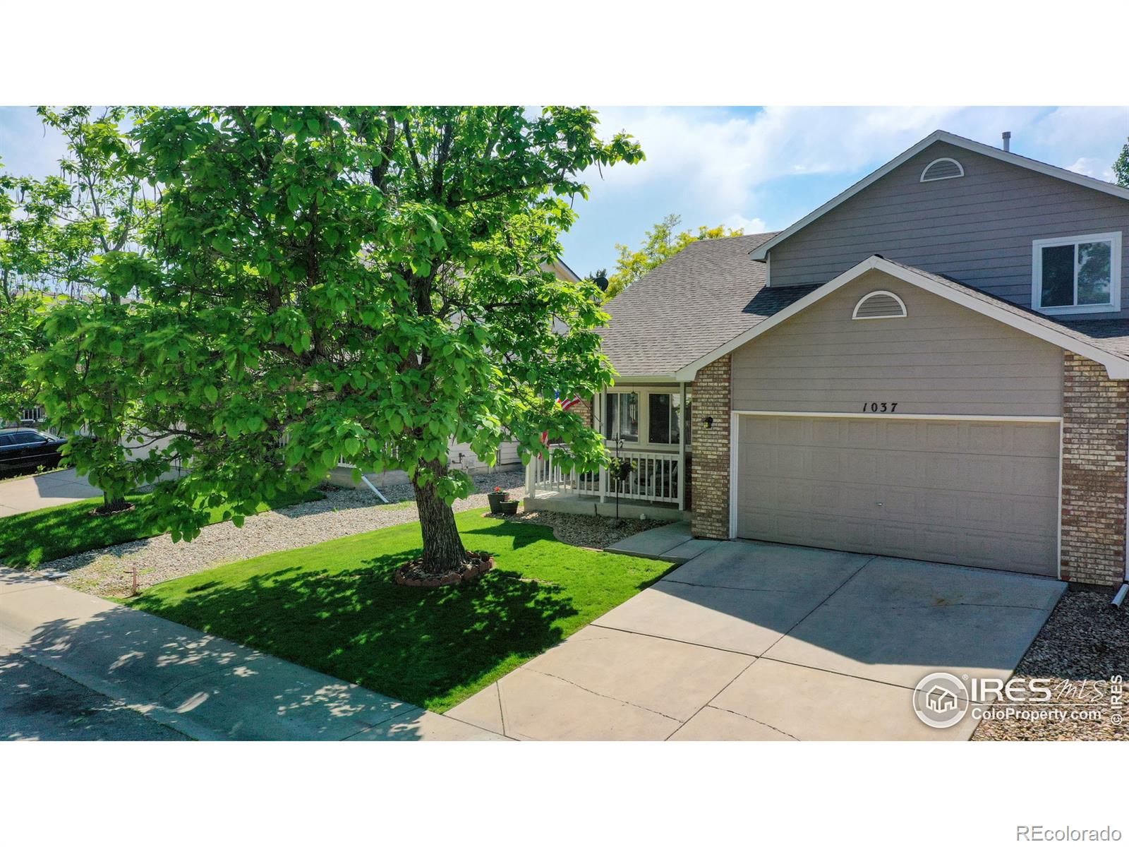 MLS Image #0 for 1037  lavender avenue,loveland, Colorado