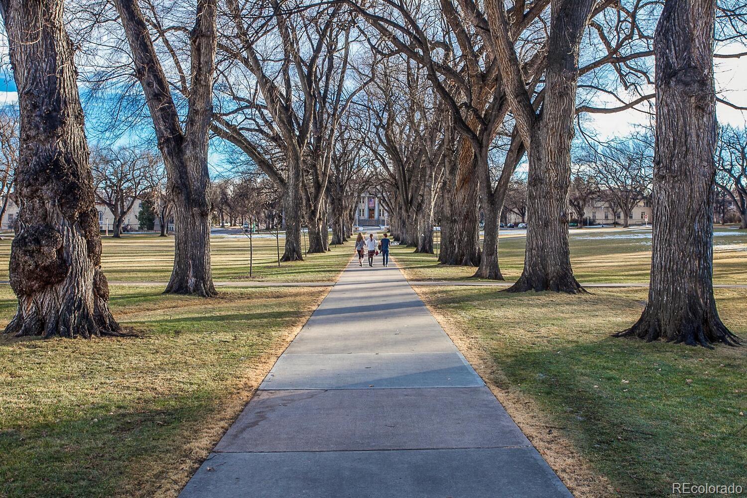 MLS Image #13 for 2225 w lake street,fort collins, Colorado