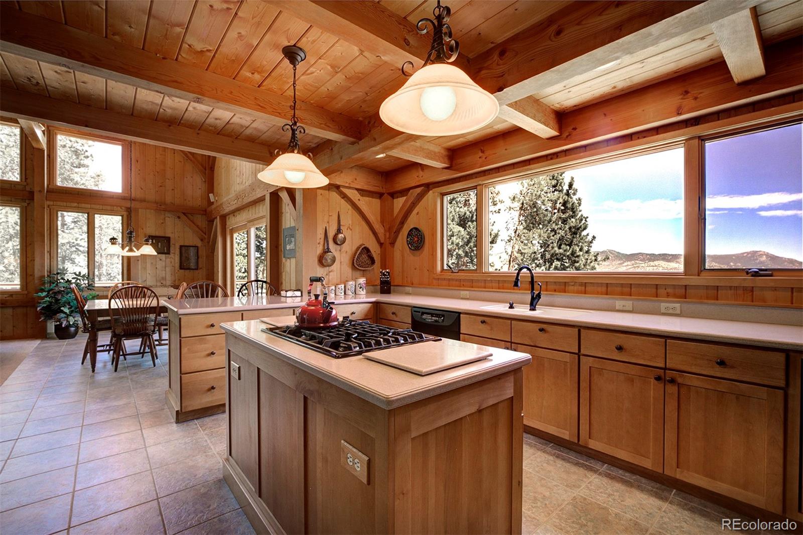 MLS Image #15 for 776  saddle ridge drive,evergreen, Colorado