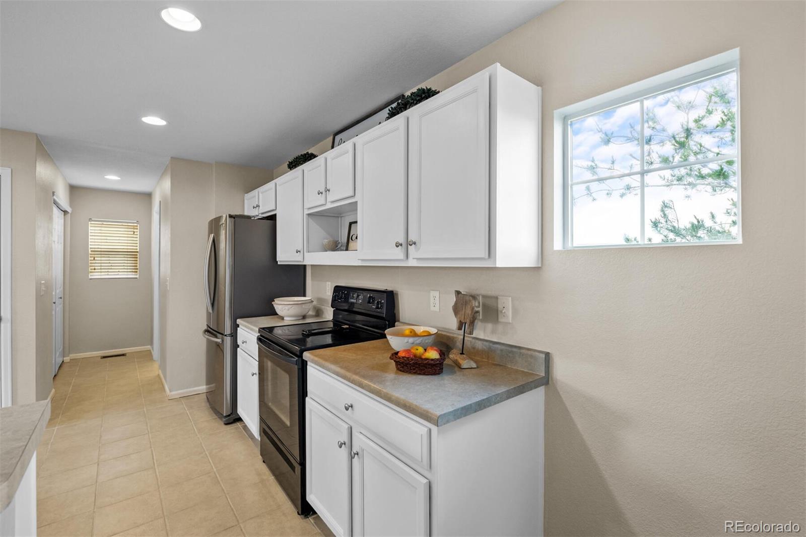 MLS Image #14 for 10078  amston street,parker, Colorado