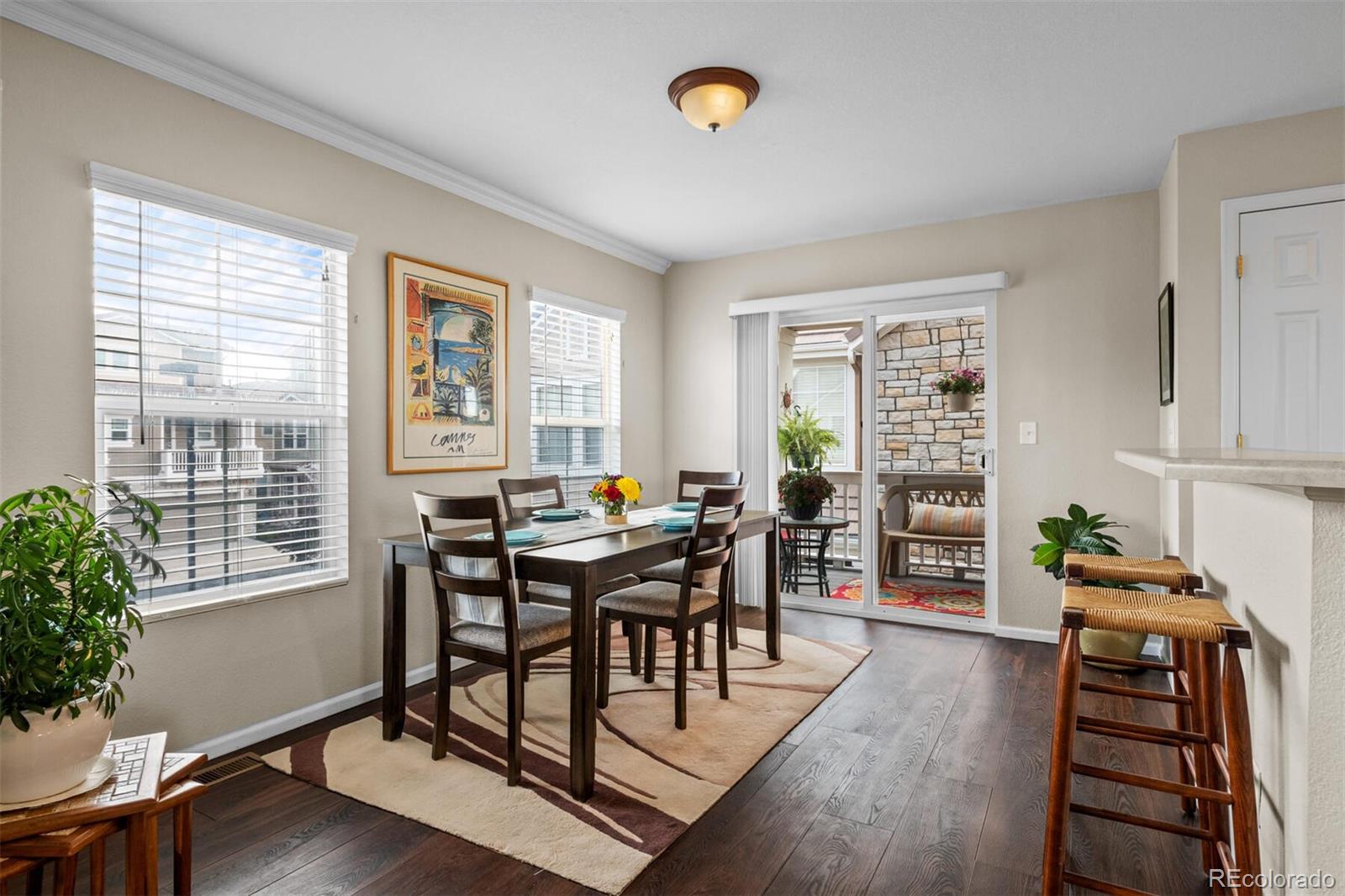 MLS Image #18 for 10078  amston street,parker, Colorado