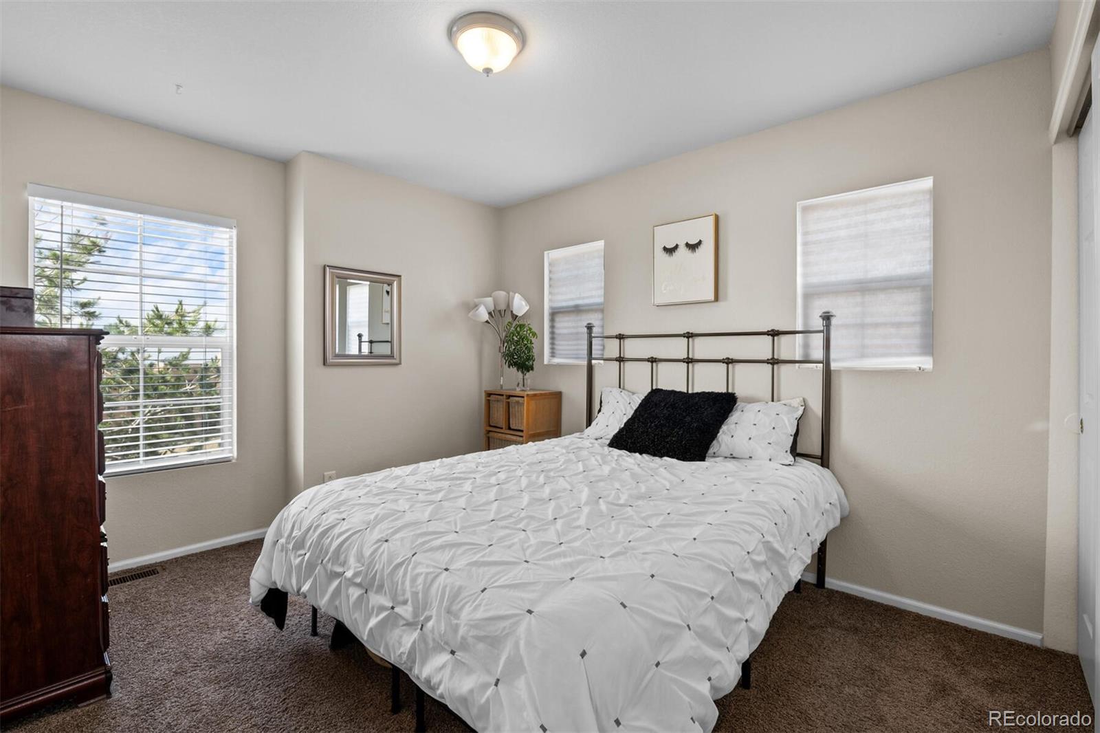 MLS Image #29 for 10078  amston street,parker, Colorado
