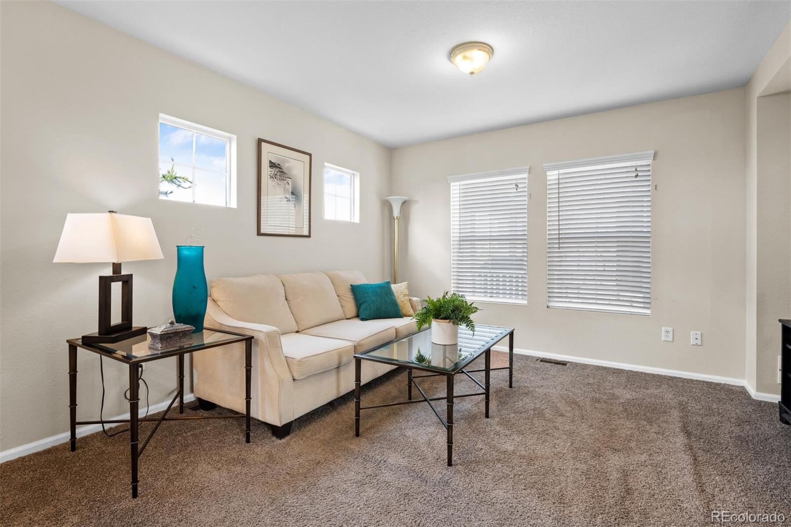 MLS Image #9 for 10078  amston street,parker, Colorado