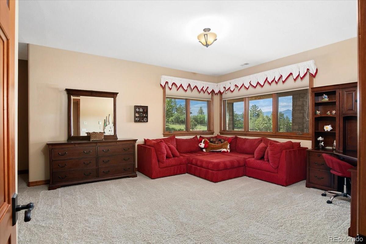 MLS Image #28 for 1617  sky view lane ,larkspur, Colorado