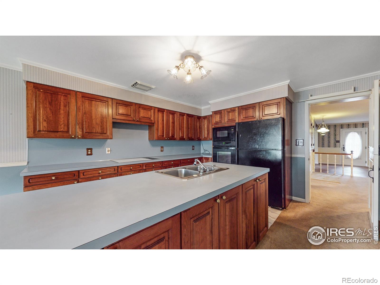 MLS Image #13 for 2456  mountair lane,greeley, Colorado