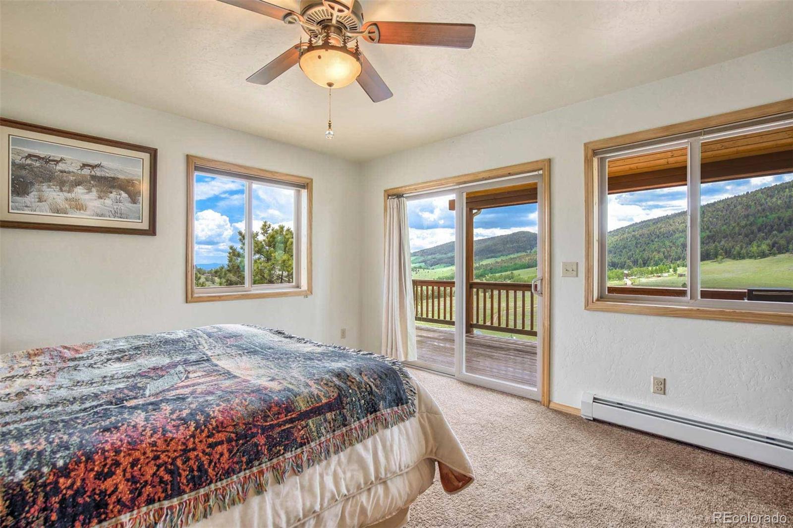 MLS Image #10 for 149  betty lou road,guffey, Colorado