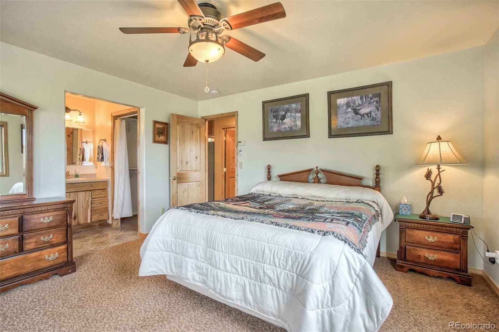 MLS Image #11 for 149  betty lou road,guffey, Colorado