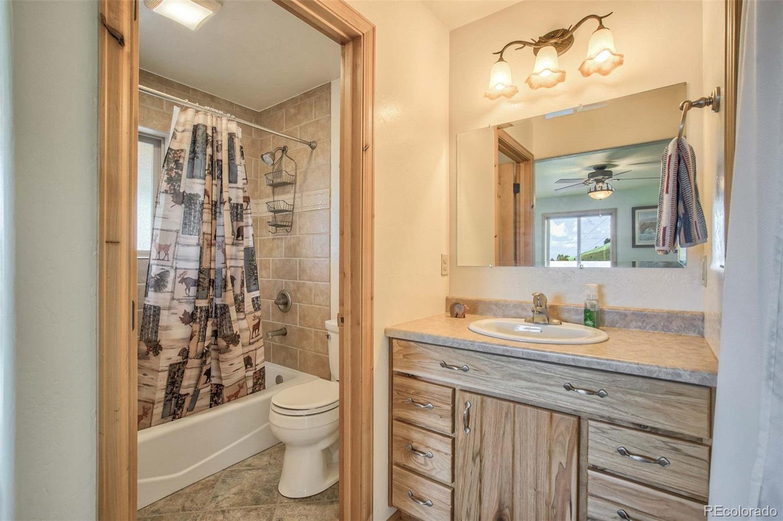 MLS Image #12 for 149  betty lou road,guffey, Colorado