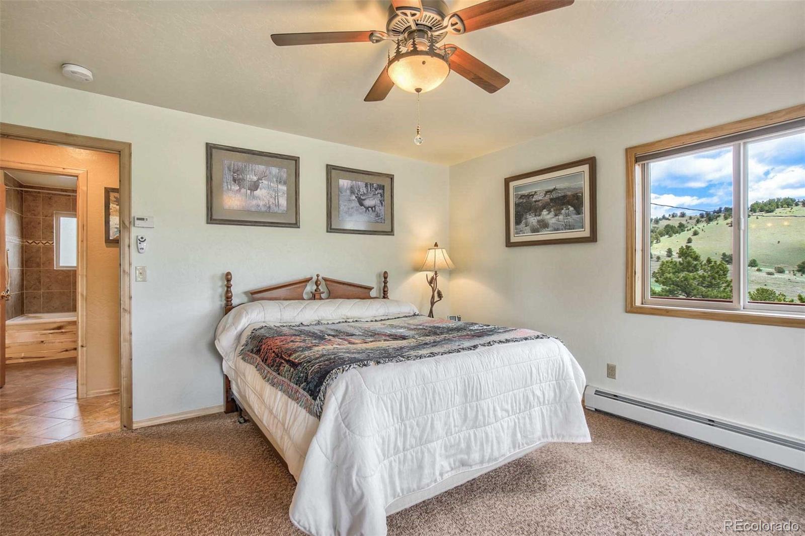 MLS Image #13 for 149  betty lou road,guffey, Colorado