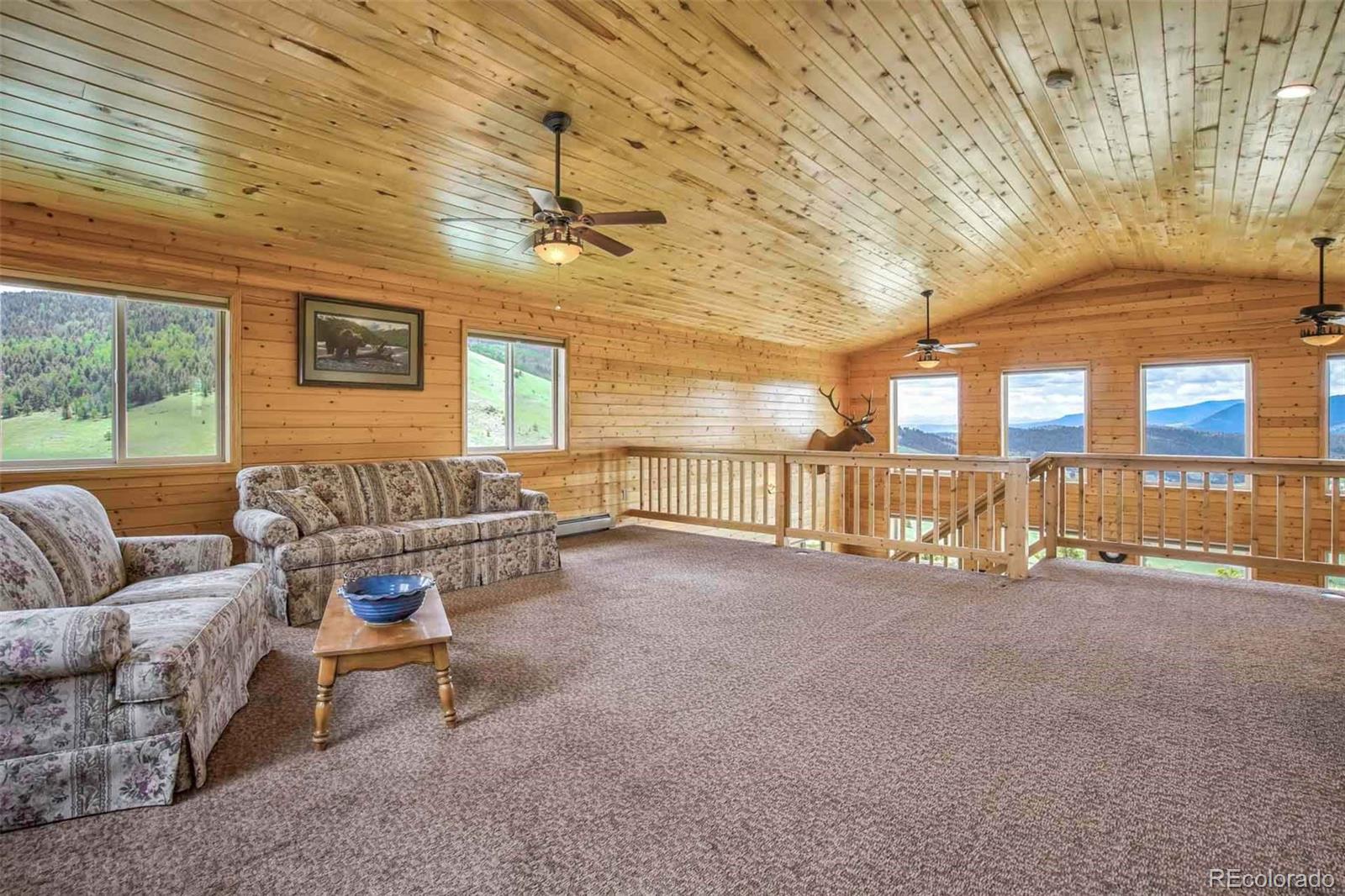 MLS Image #18 for 149  betty lou road,guffey, Colorado