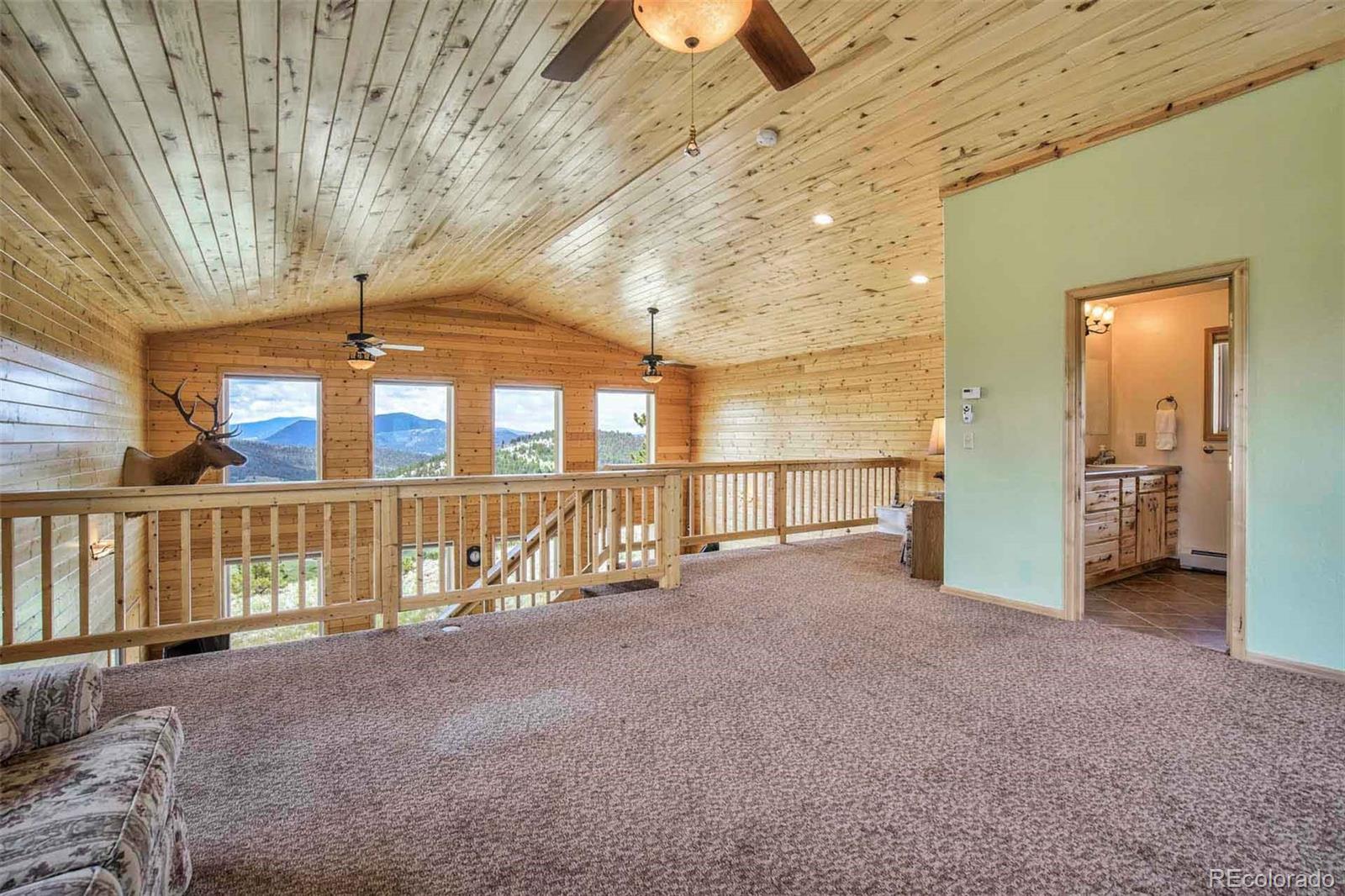 MLS Image #19 for 149  betty lou road,guffey, Colorado