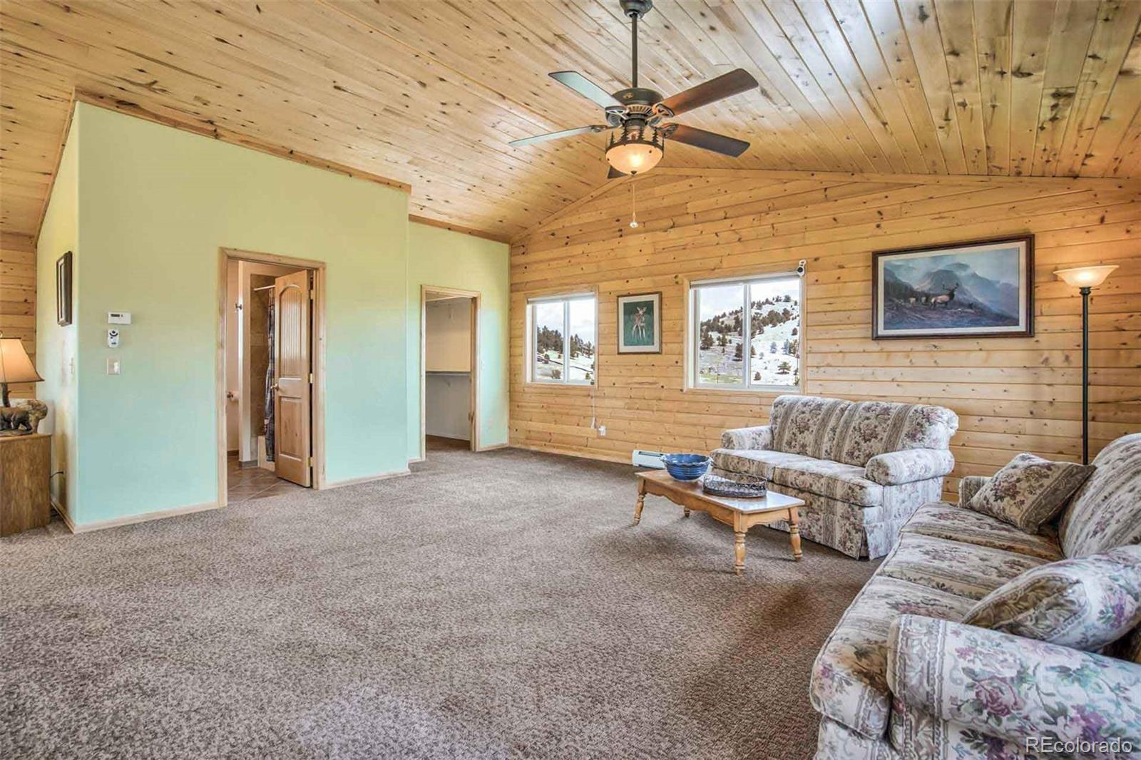 MLS Image #21 for 149  betty lou road,guffey, Colorado