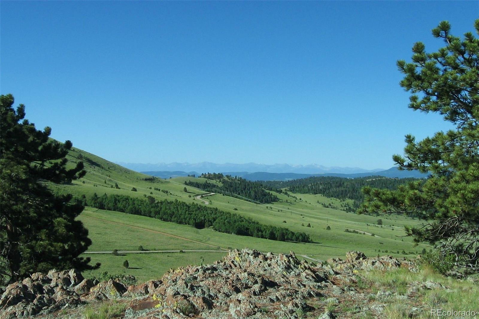 MLS Image #32 for 149  betty lou road,guffey, Colorado