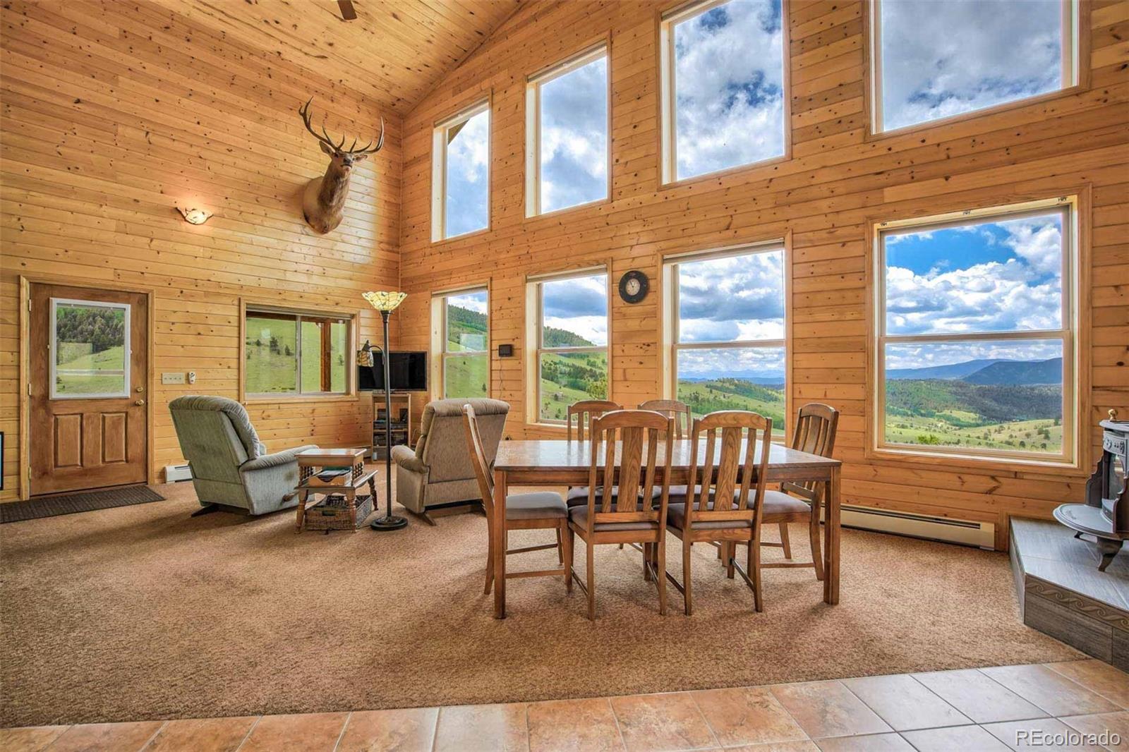 MLS Image #4 for 149  betty lou road,guffey, Colorado