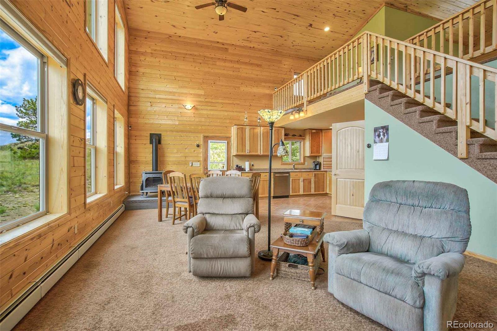 MLS Image #5 for 149  betty lou road,guffey, Colorado