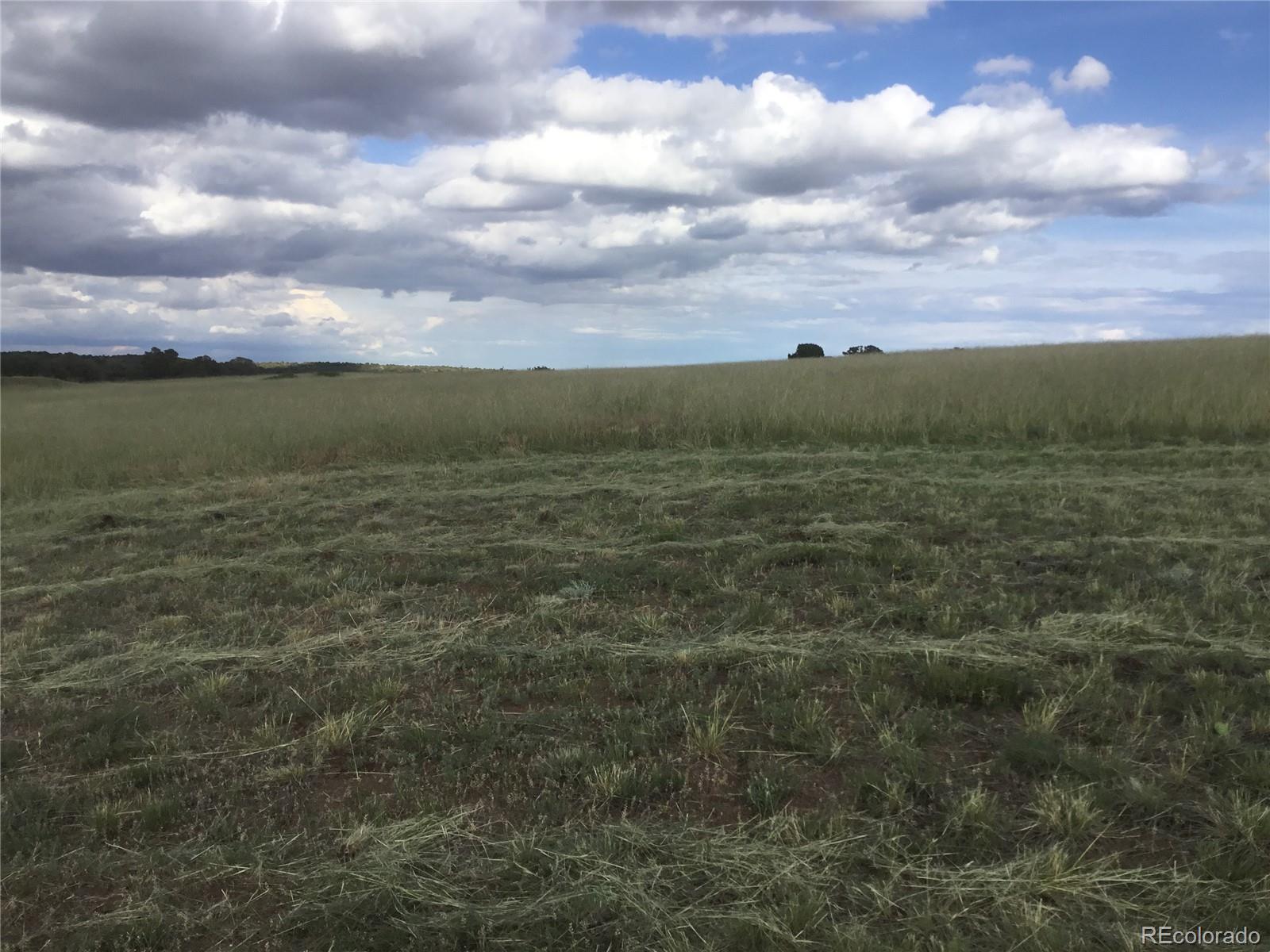 MLS Image #11 for 3038  comanche drive,walsenburg, Colorado