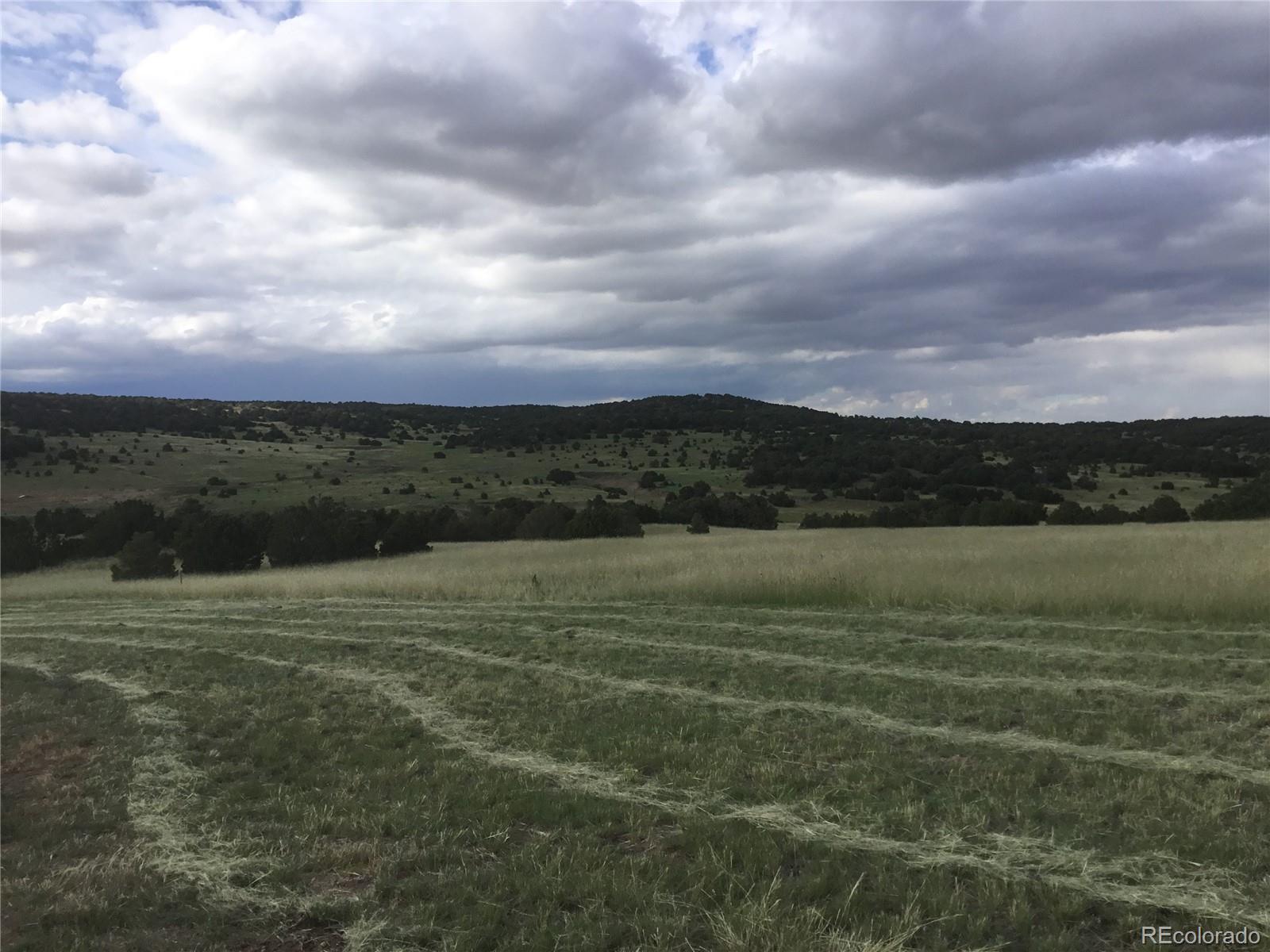 MLS Image #12 for 3038  comanche drive,walsenburg, Colorado