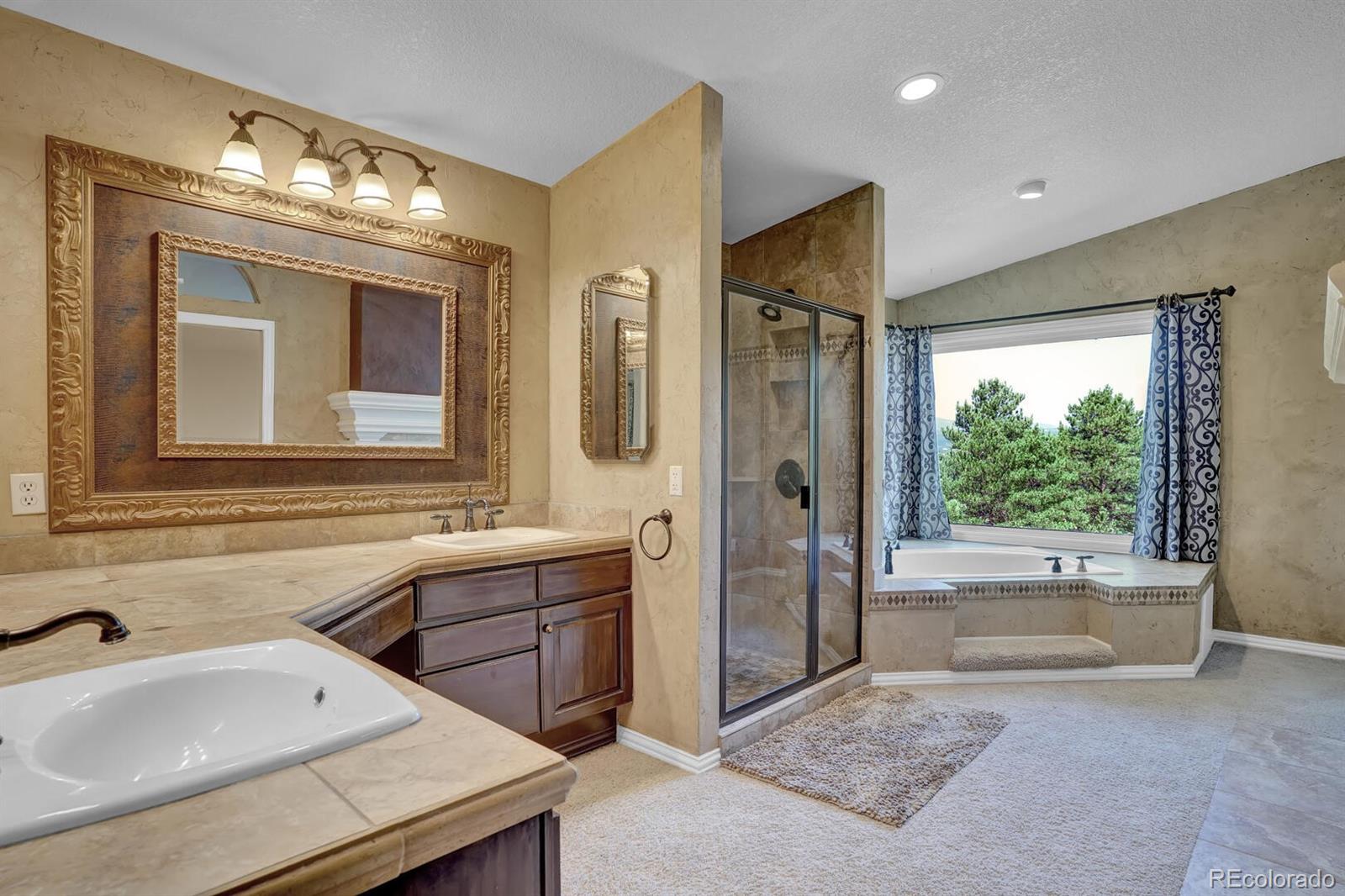 MLS Image #22 for 1385  regatta lane,monument, Colorado