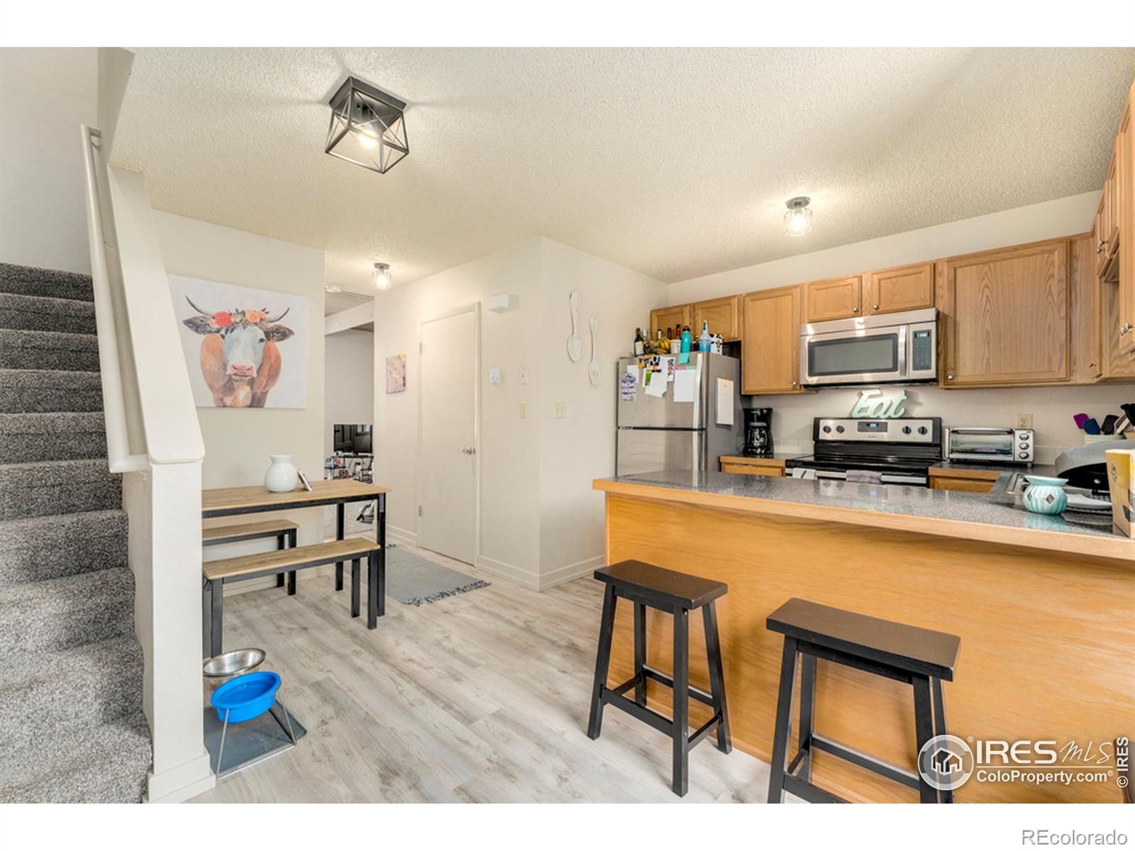 MLS Image #0 for 1701  springmeadows court,fort collins, Colorado