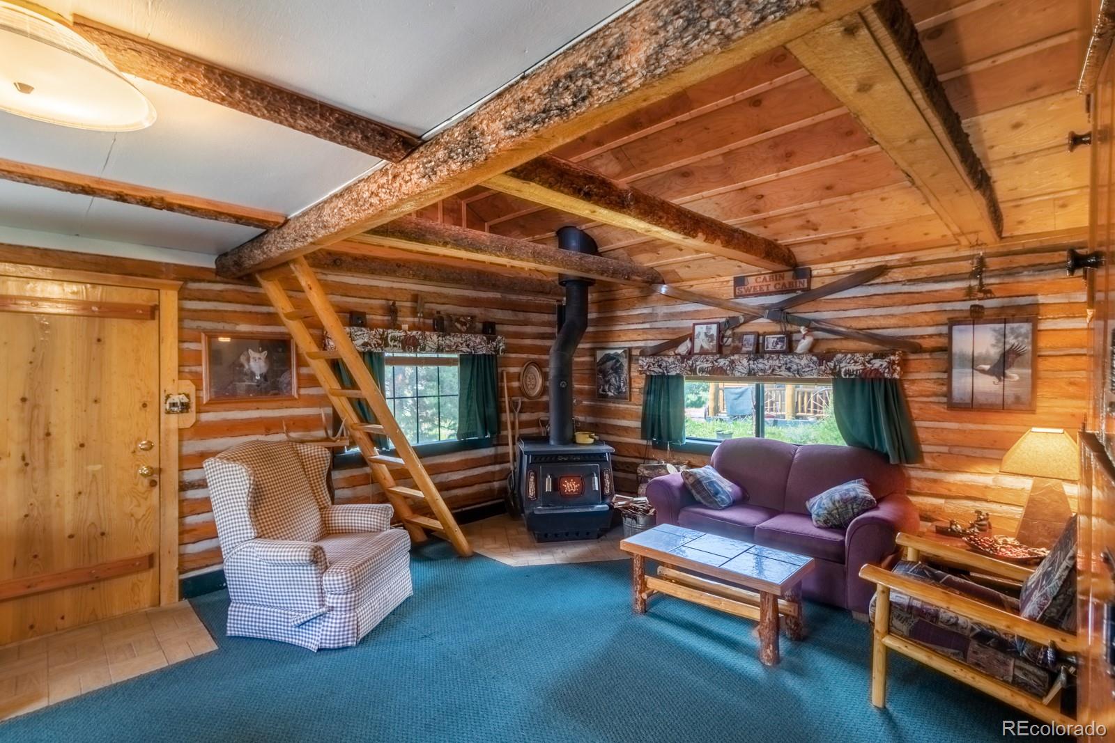 MLS Image #1 for 14  gcr 4451 ,grand lake, Colorado