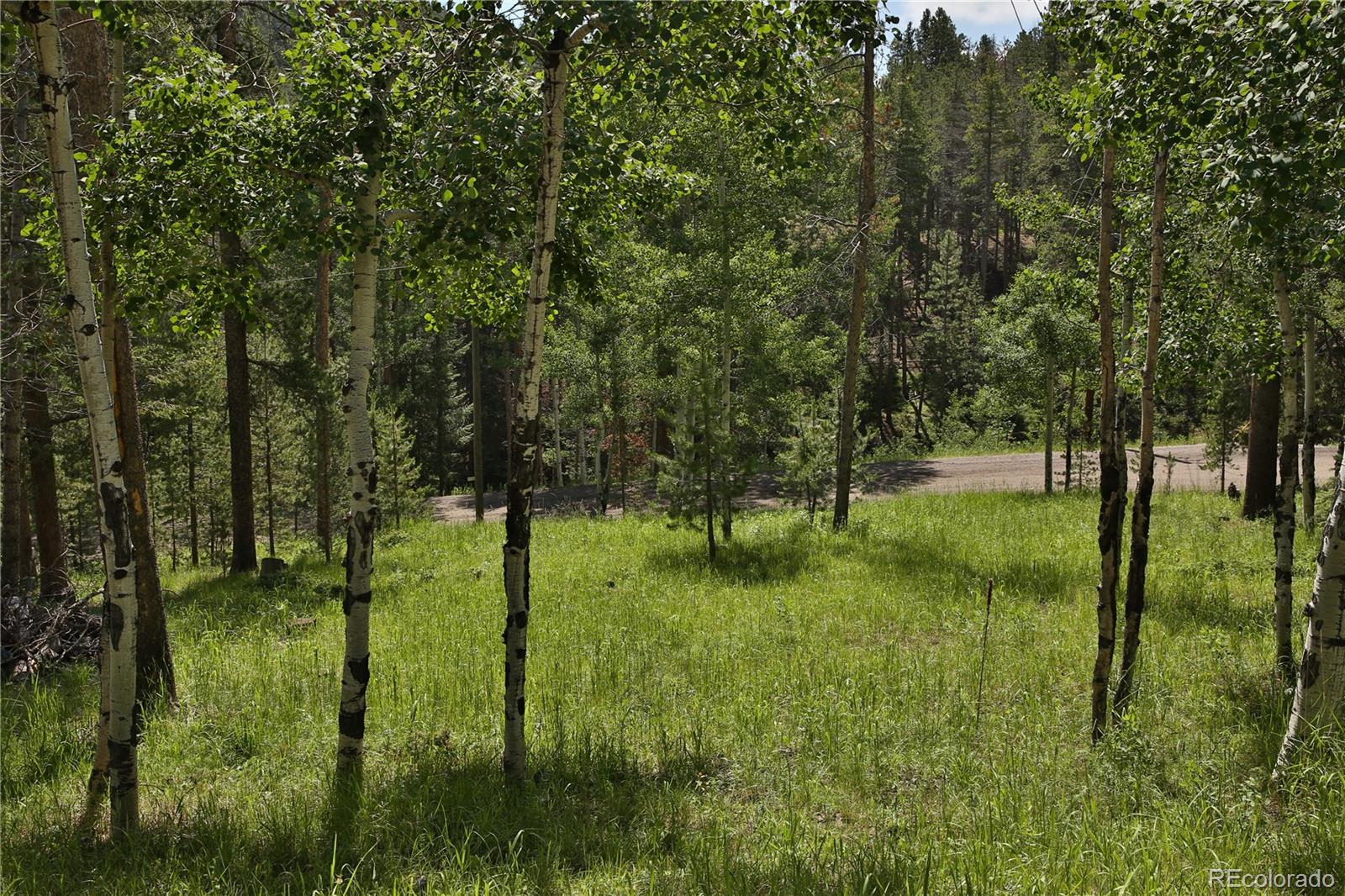 MLS Image #22 for 32705  saint moritz drive,evergreen, Colorado