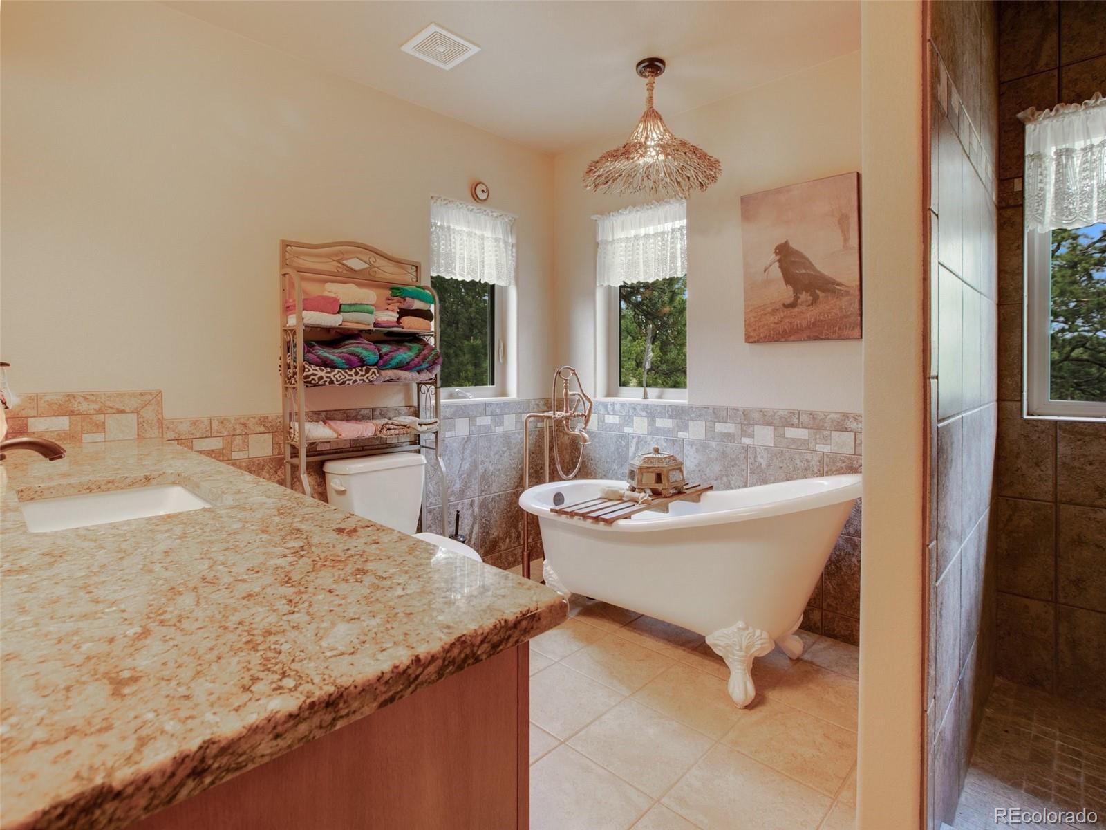 MLS Image #11 for 6627  county road 100 ,florissant, Colorado