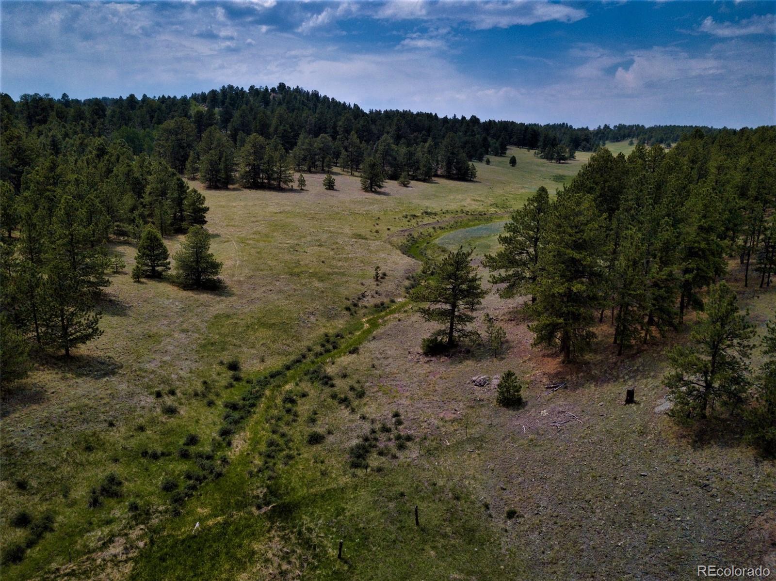 MLS Image #7 for 6627  county road 100 ,florissant, Colorado