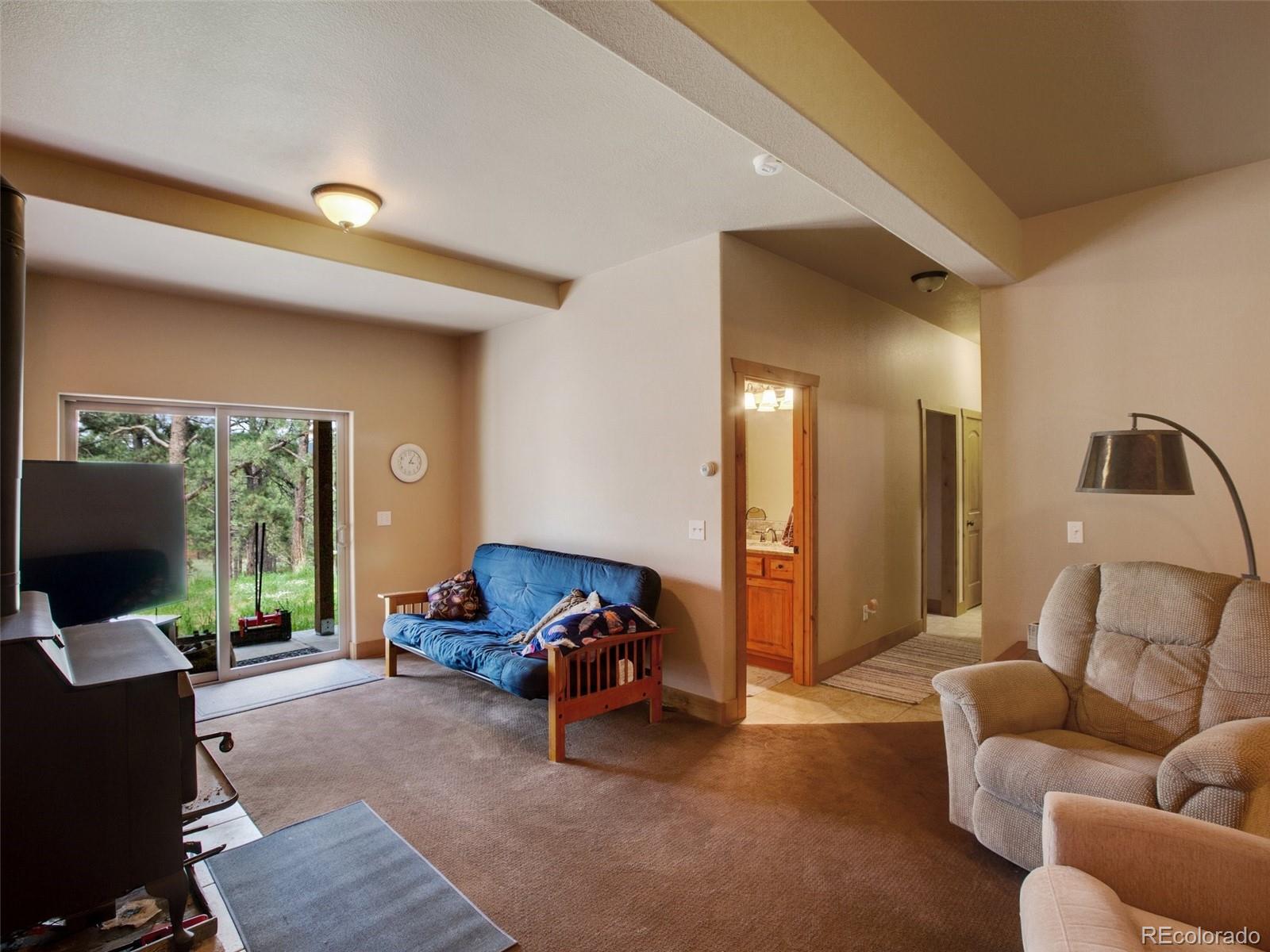 MLS Image #8 for 6627  county road 100 ,florissant, Colorado