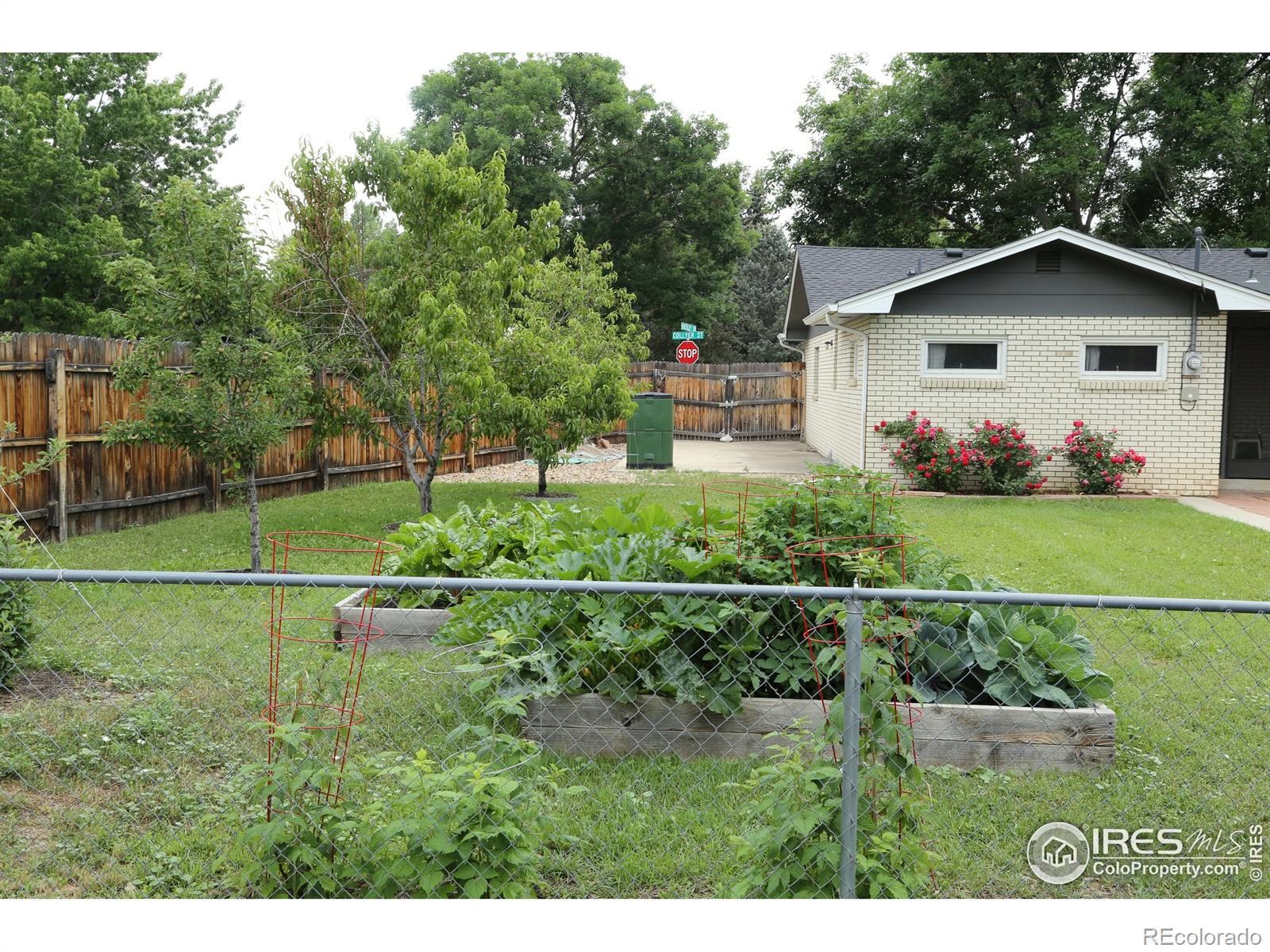 MLS Image #2 for 1915  collyer street,longmont, Colorado