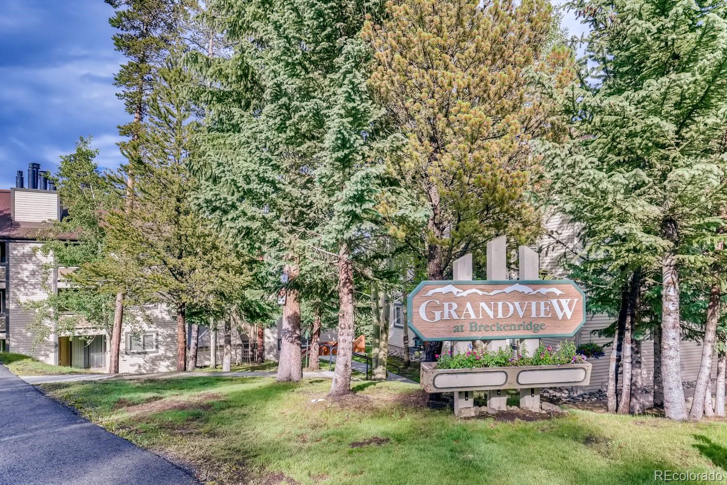 MLS Image #1 for 1001  grandview drive,breckenridge, Colorado