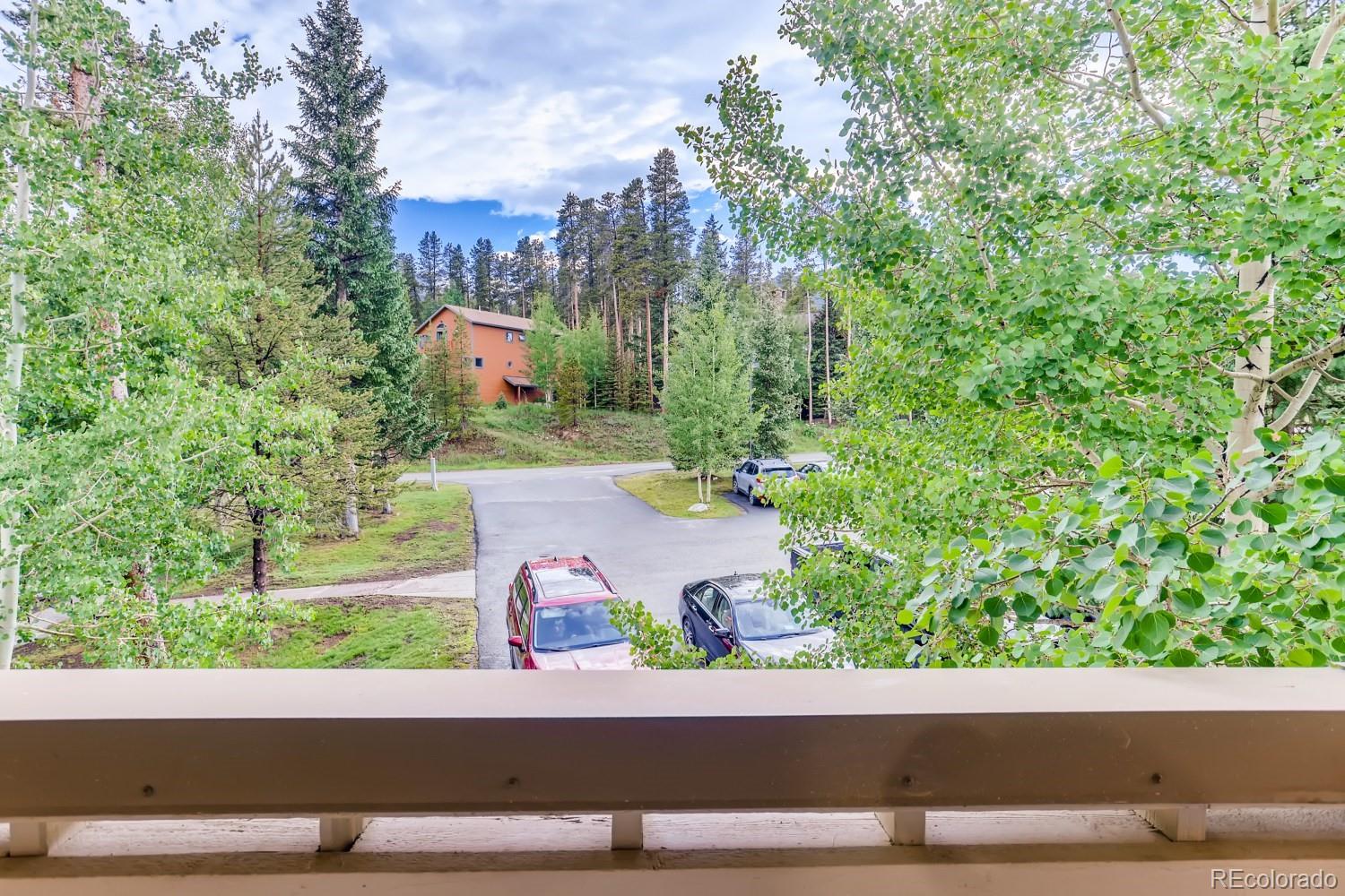 MLS Image #9 for 1001  grandview drive,breckenridge, Colorado