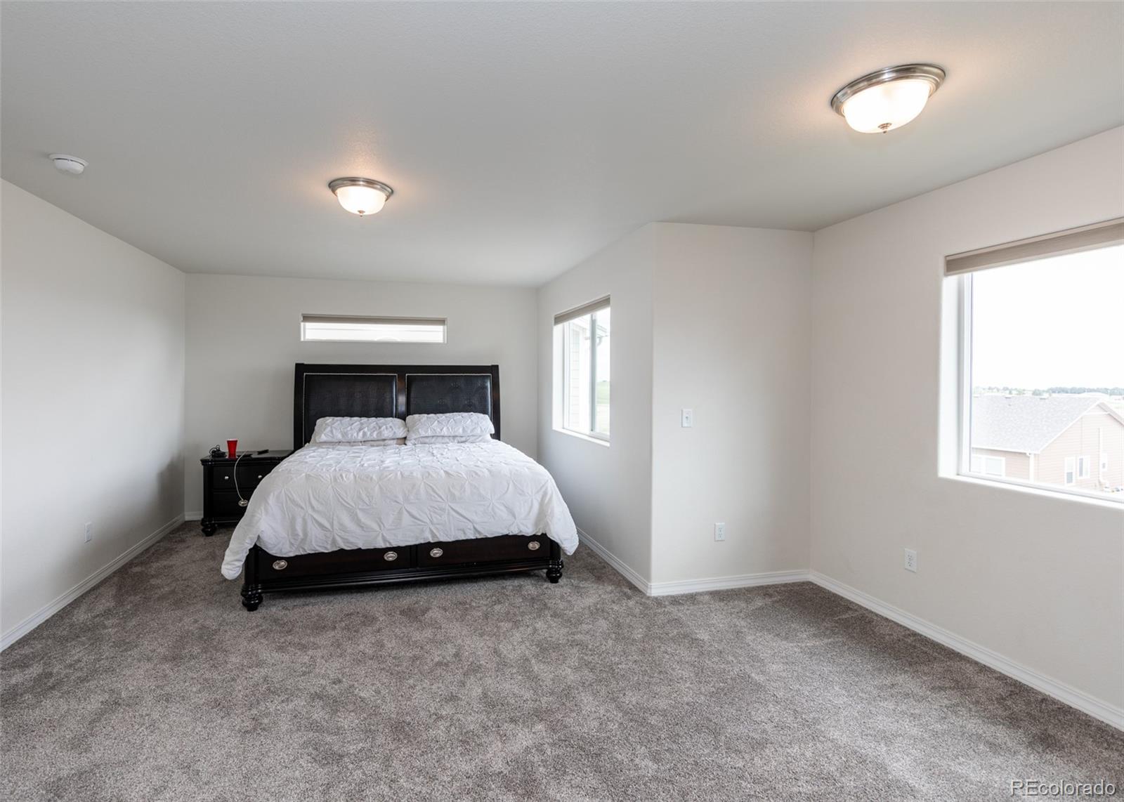 MLS Image #28 for 8273  sprague way,colorado springs, Colorado