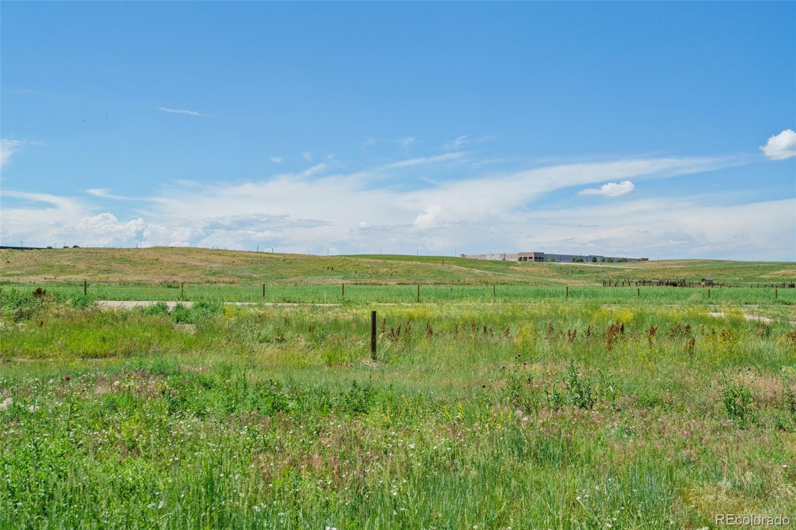 MLS Image #32 for 15481  coopers hawk way,parker, Colorado