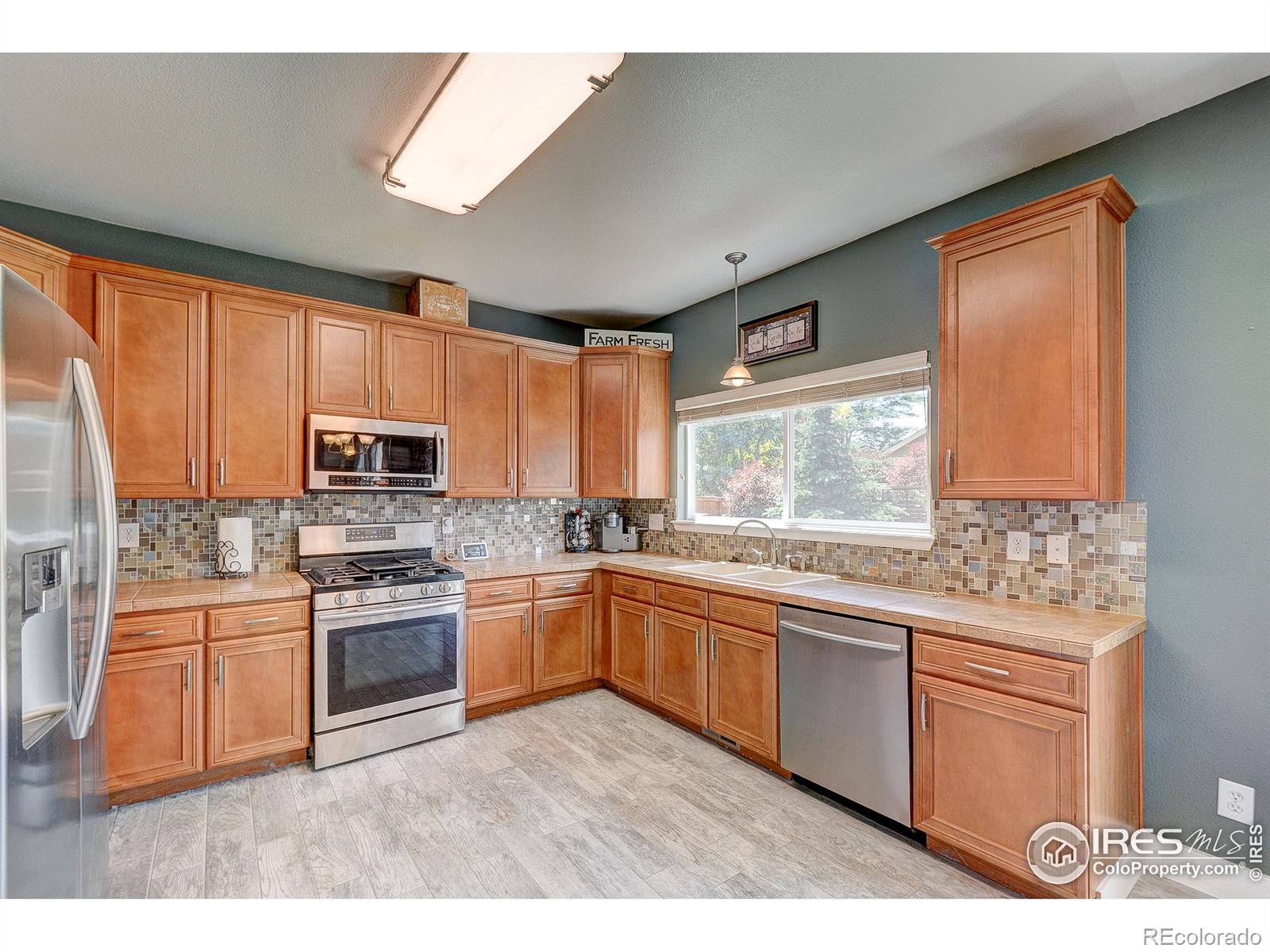 MLS Image #15 for 4485  fruita drive,loveland, Colorado