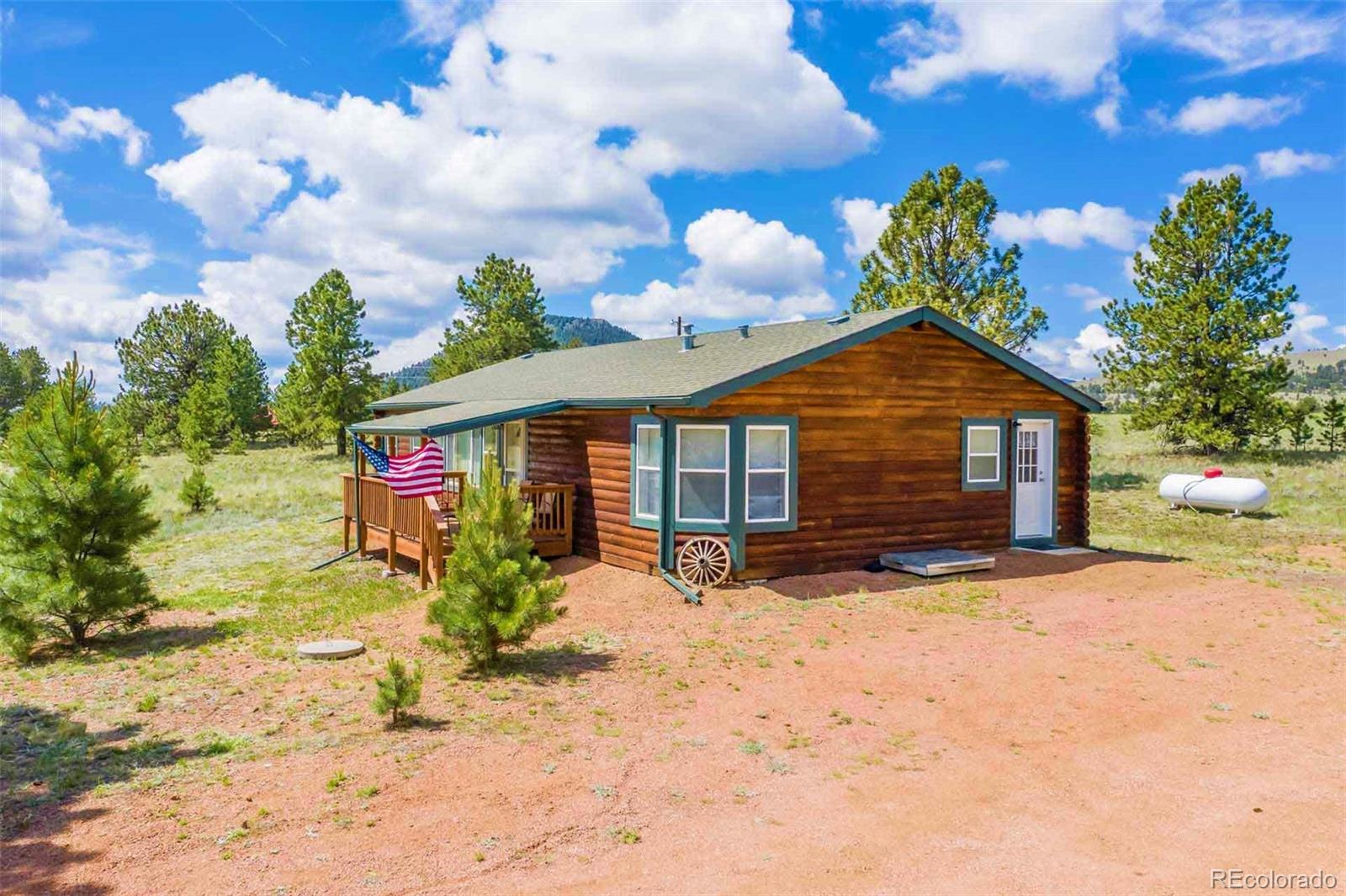 MLS Image #3 for 251  view lane,guffey, Colorado