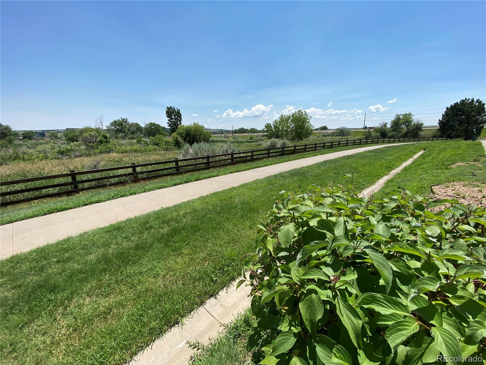 MLS Image #22 for 17555  nature walk trail,parker, Colorado