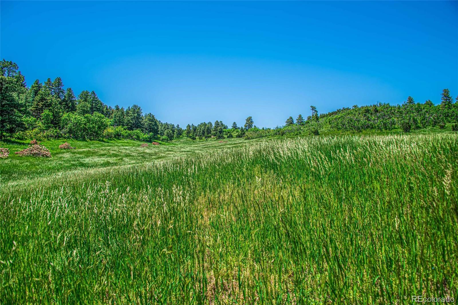 MLS Image #28 for 8597  co-165 ,rye, Colorado