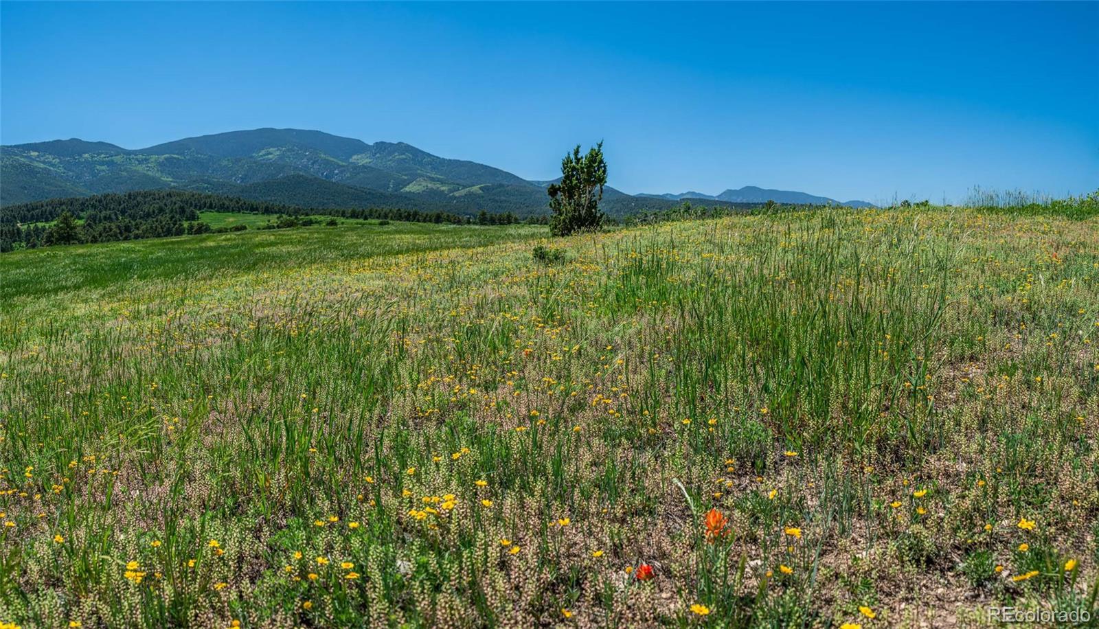 MLS Image #29 for 8597  co-165 ,rye, Colorado