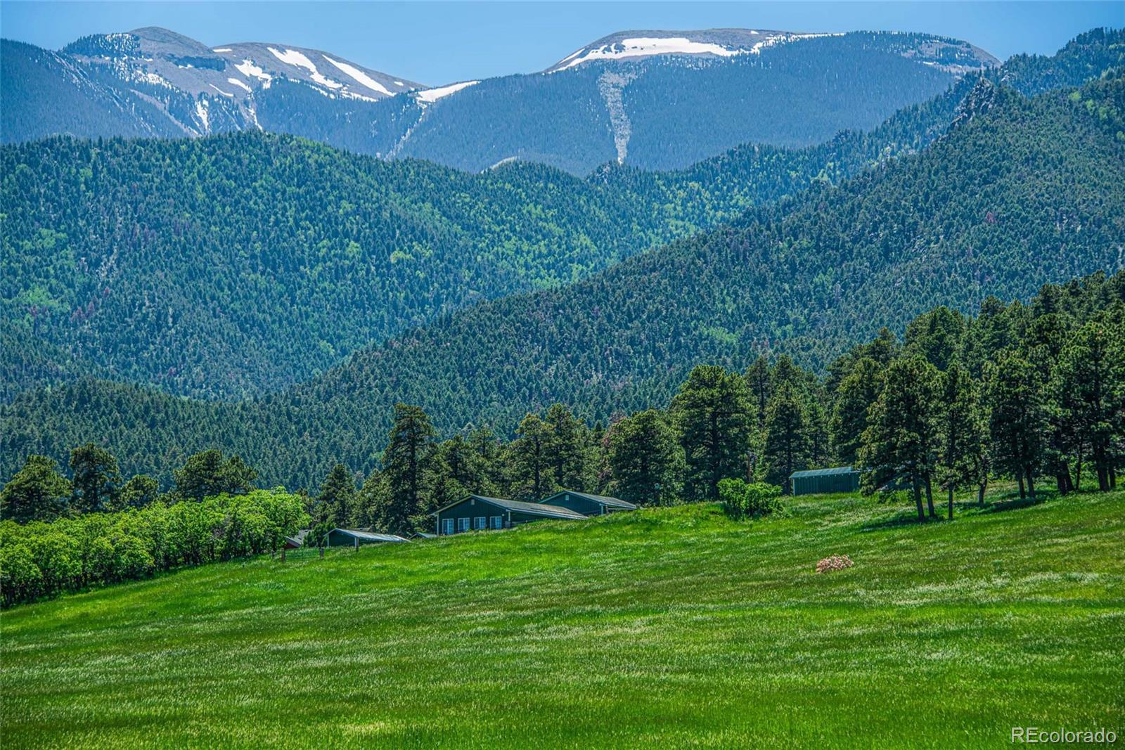 MLS Image #4 for 8597  co-165 ,rye, Colorado