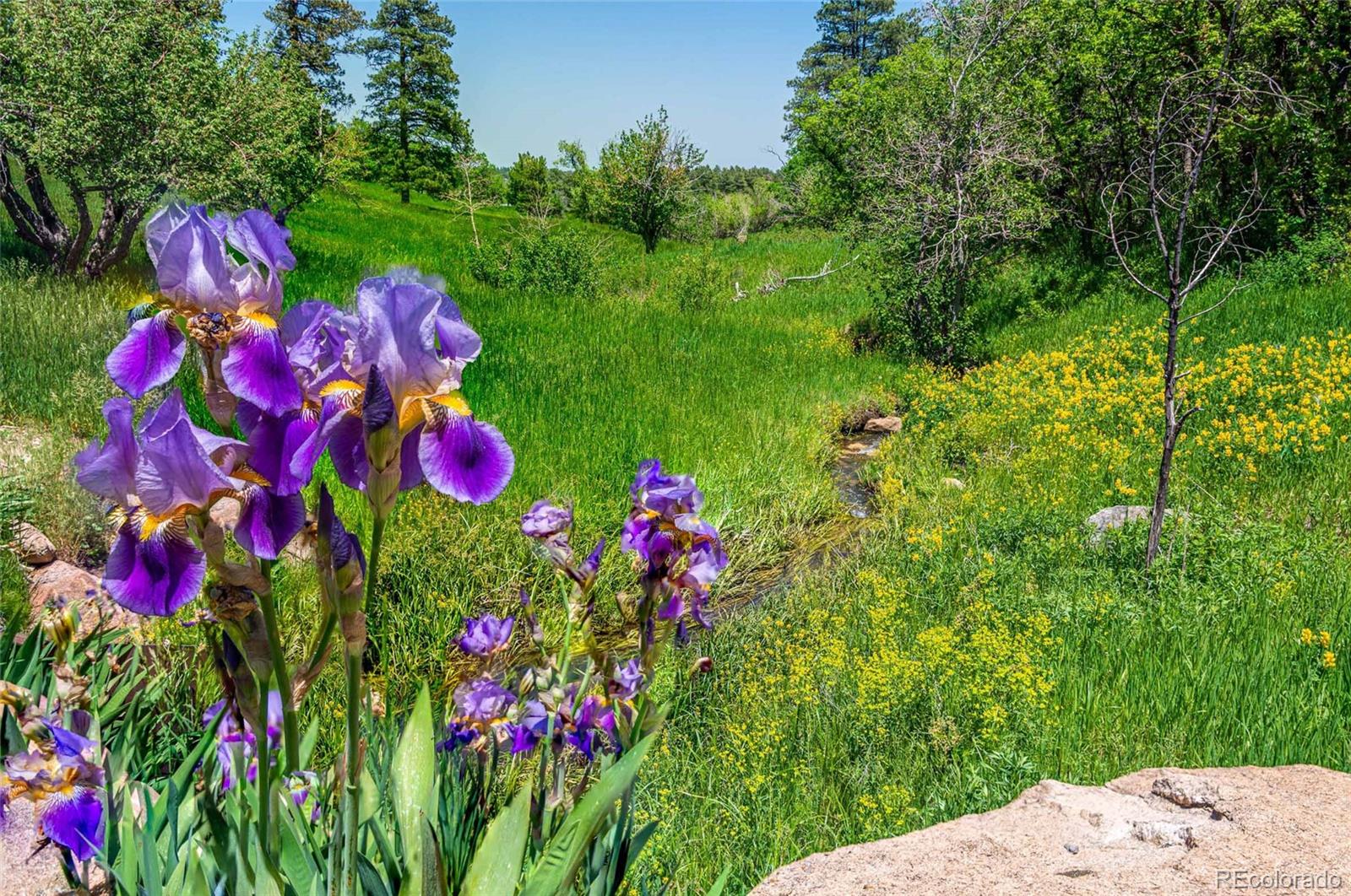 MLS Image #7 for 8597  co-165 ,rye, Colorado