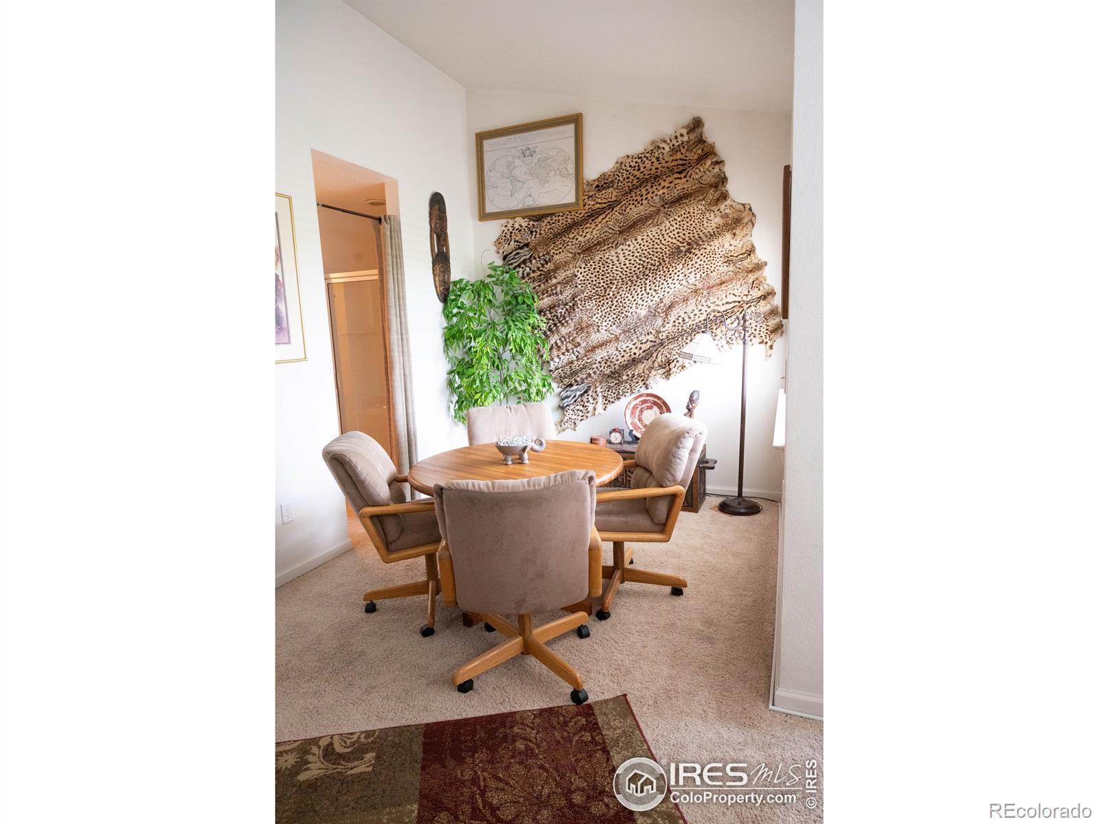 MLS Image #16 for 4041  temple gulch circle,loveland, Colorado