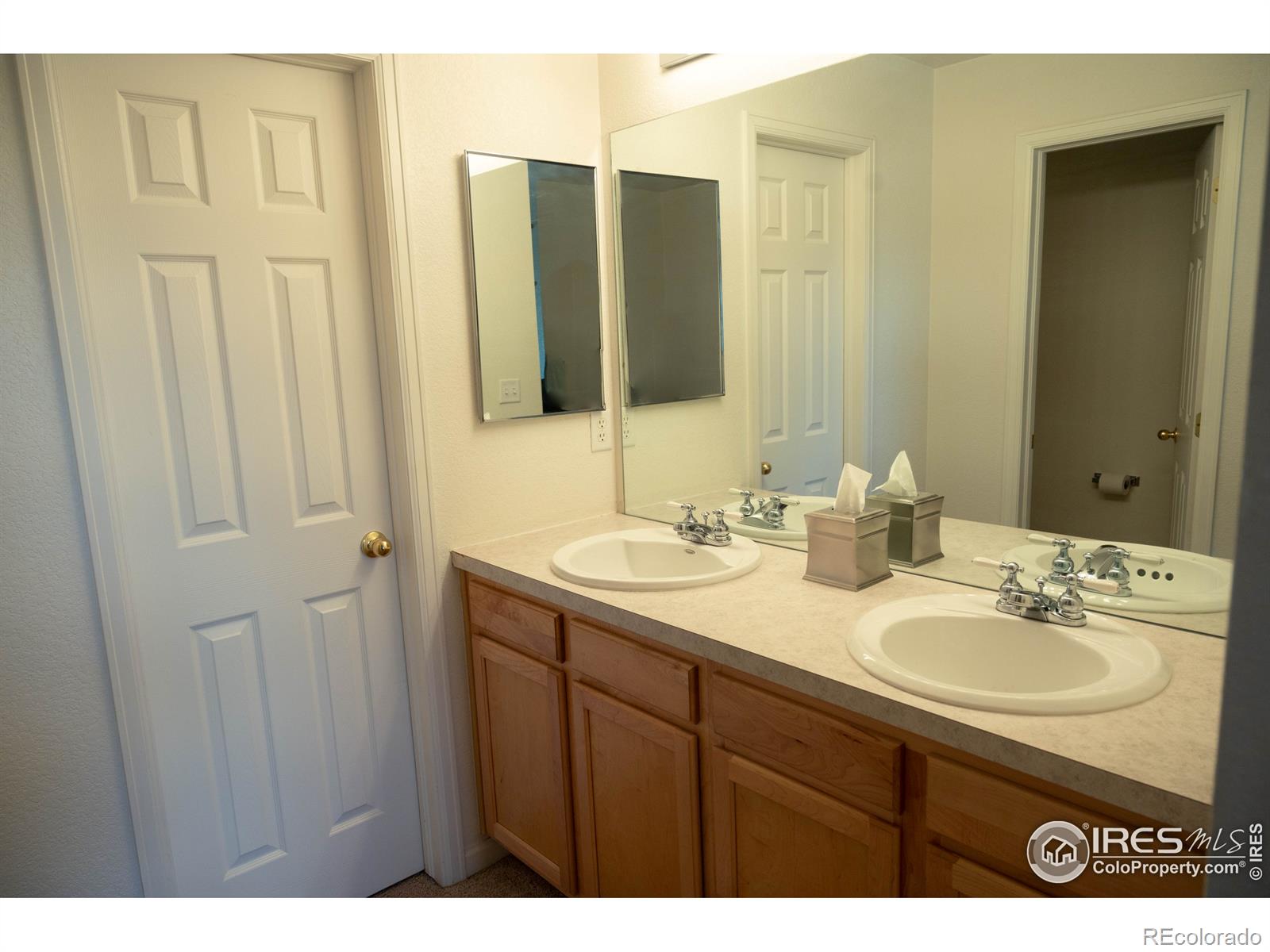 MLS Image #19 for 4041  temple gulch circle,loveland, Colorado