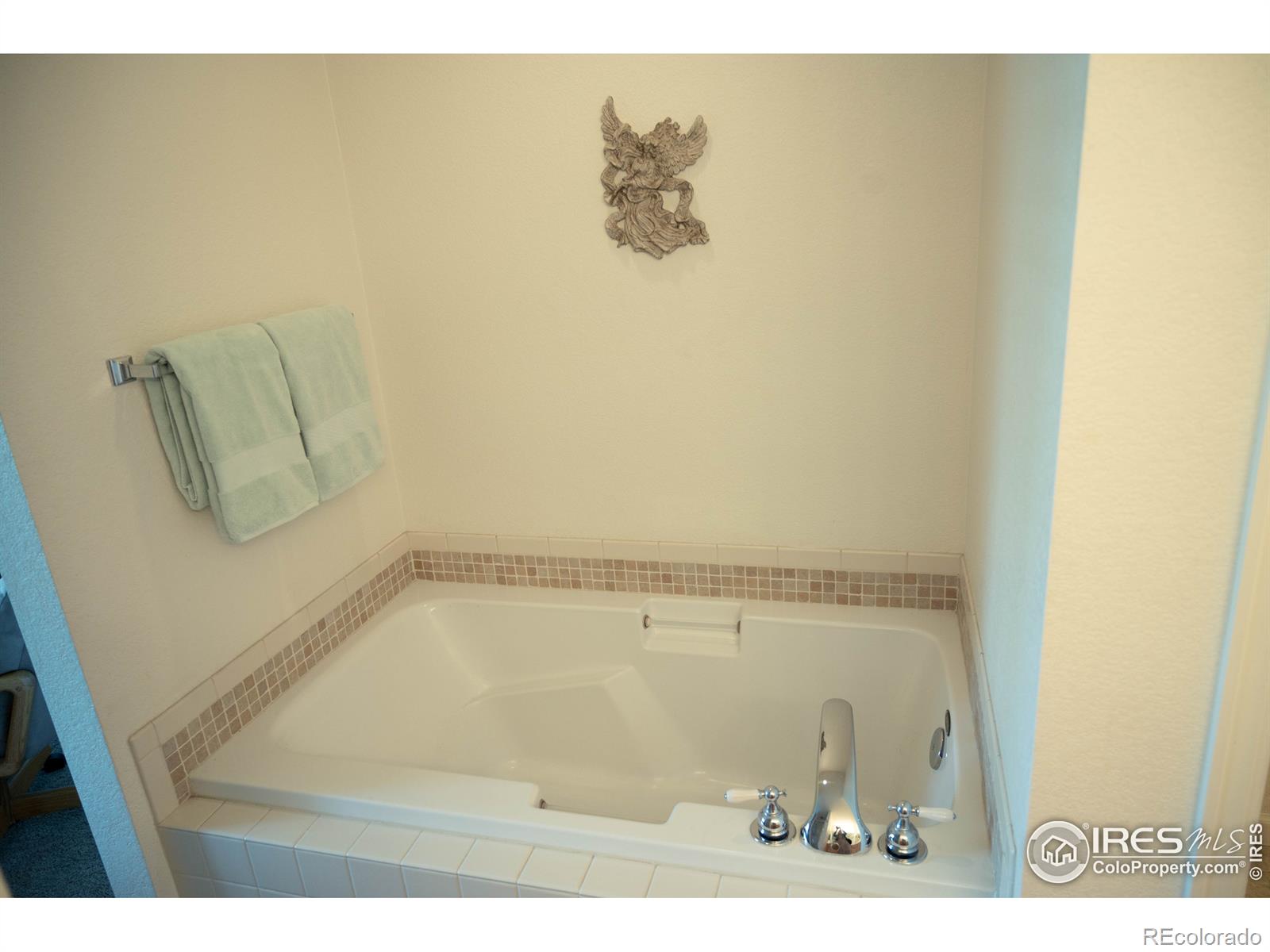 MLS Image #20 for 4041  temple gulch circle,loveland, Colorado